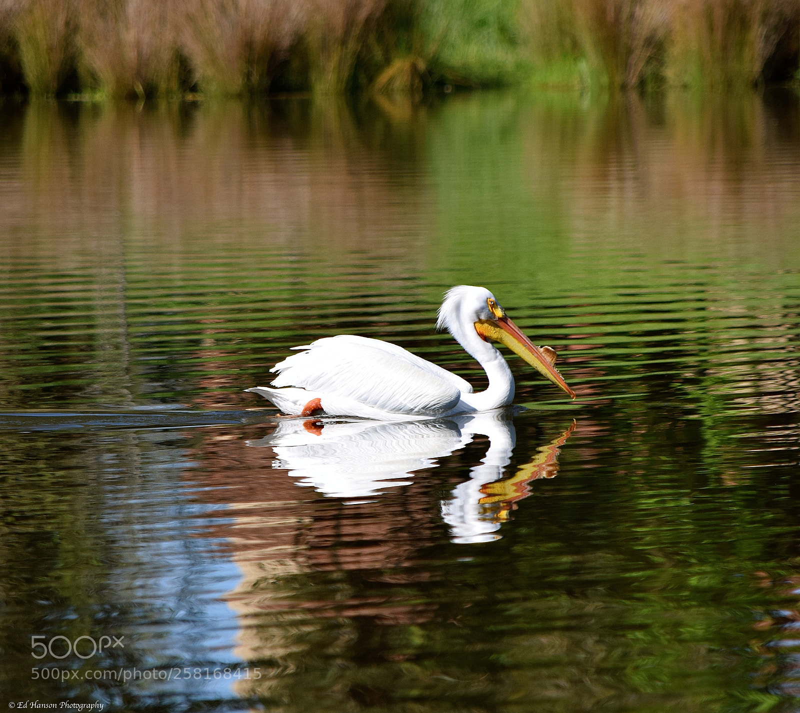 Nikon D3300 sample photo. Out for a cruise photography