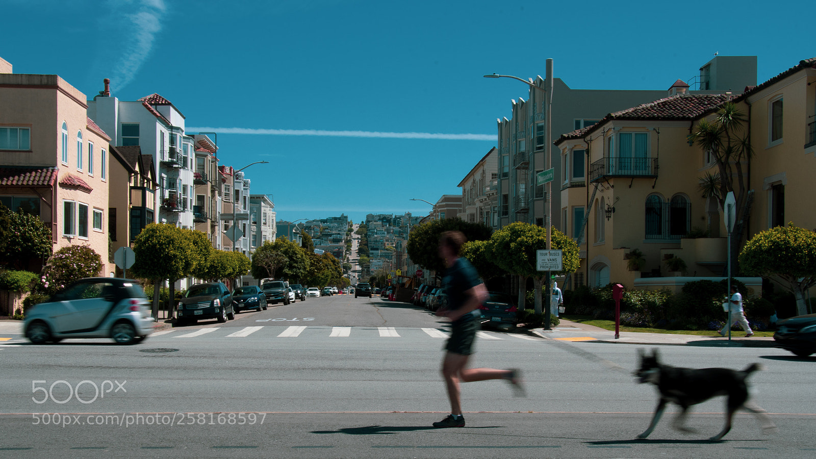 Nikon D500 sample photo. Run sf photography