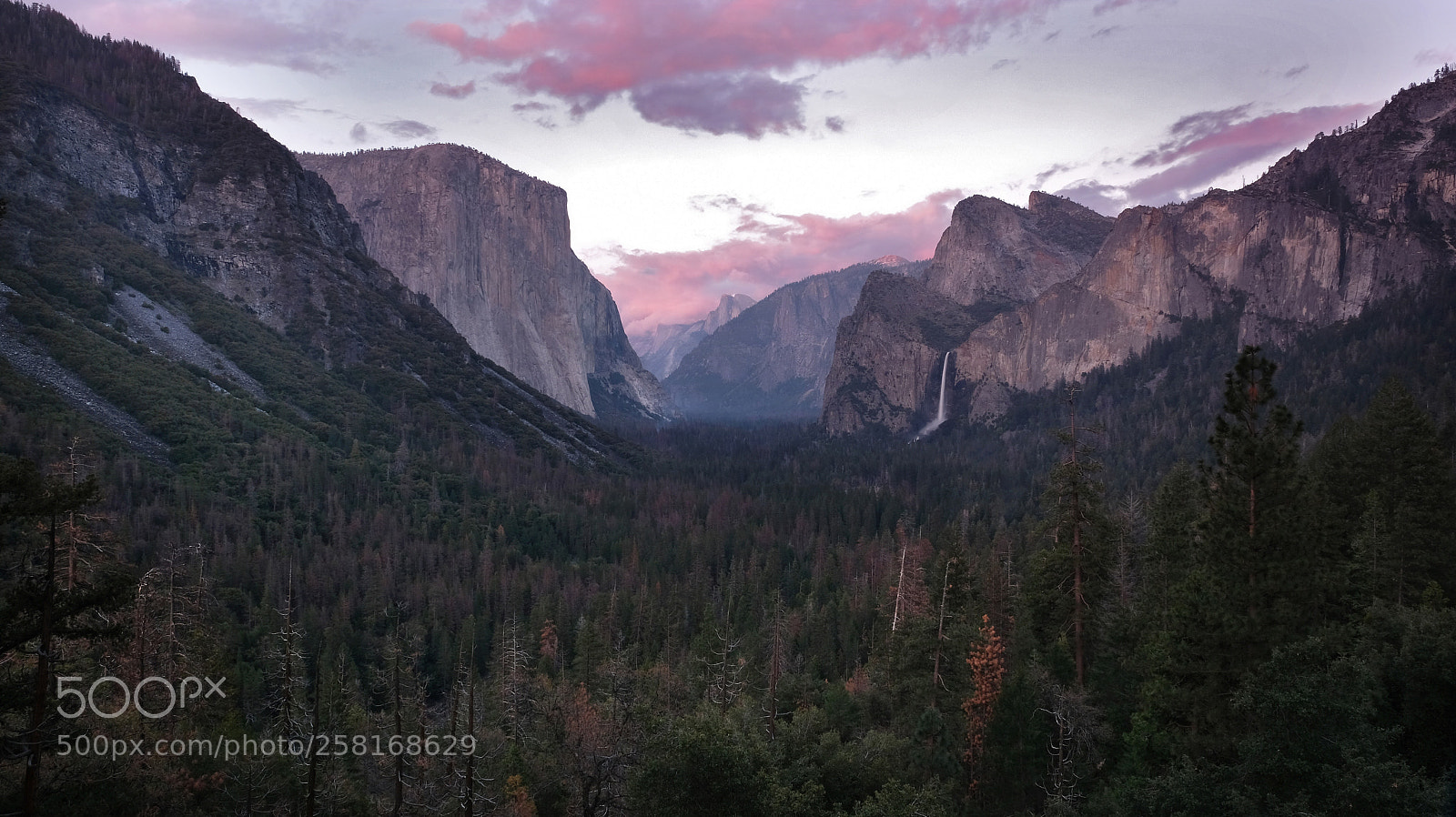 Fujifilm X-T2 sample photo. Yosemite photography