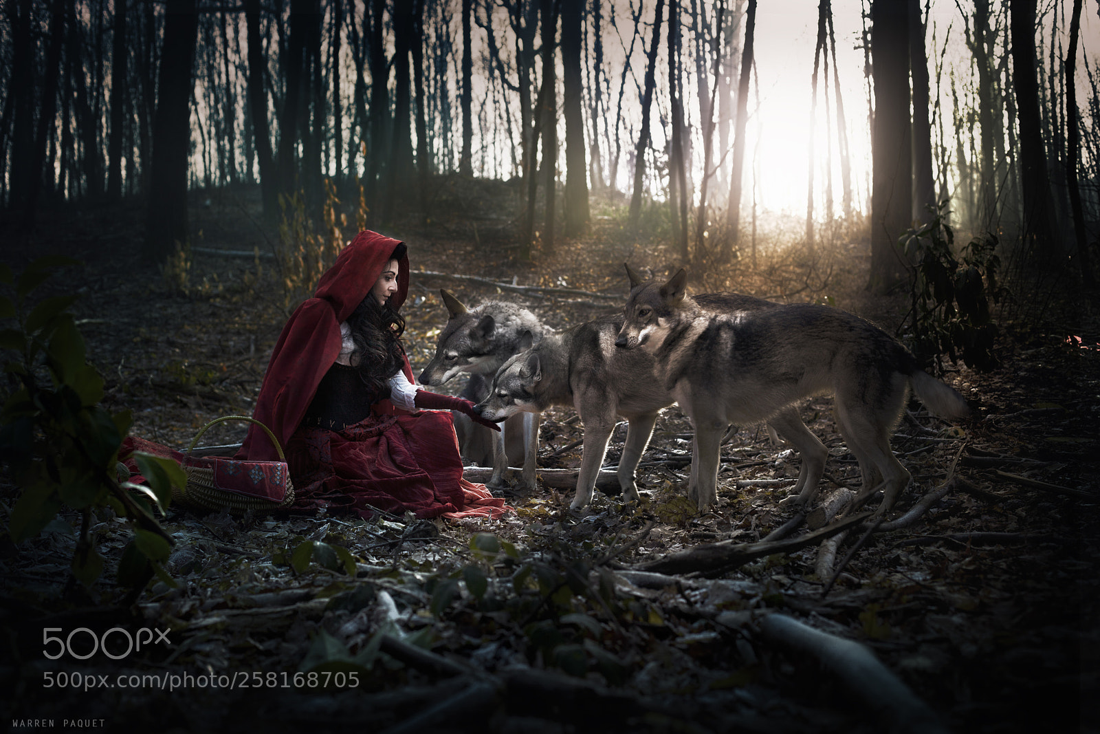 Canon EOS 5D Mark II sample photo. Red photography