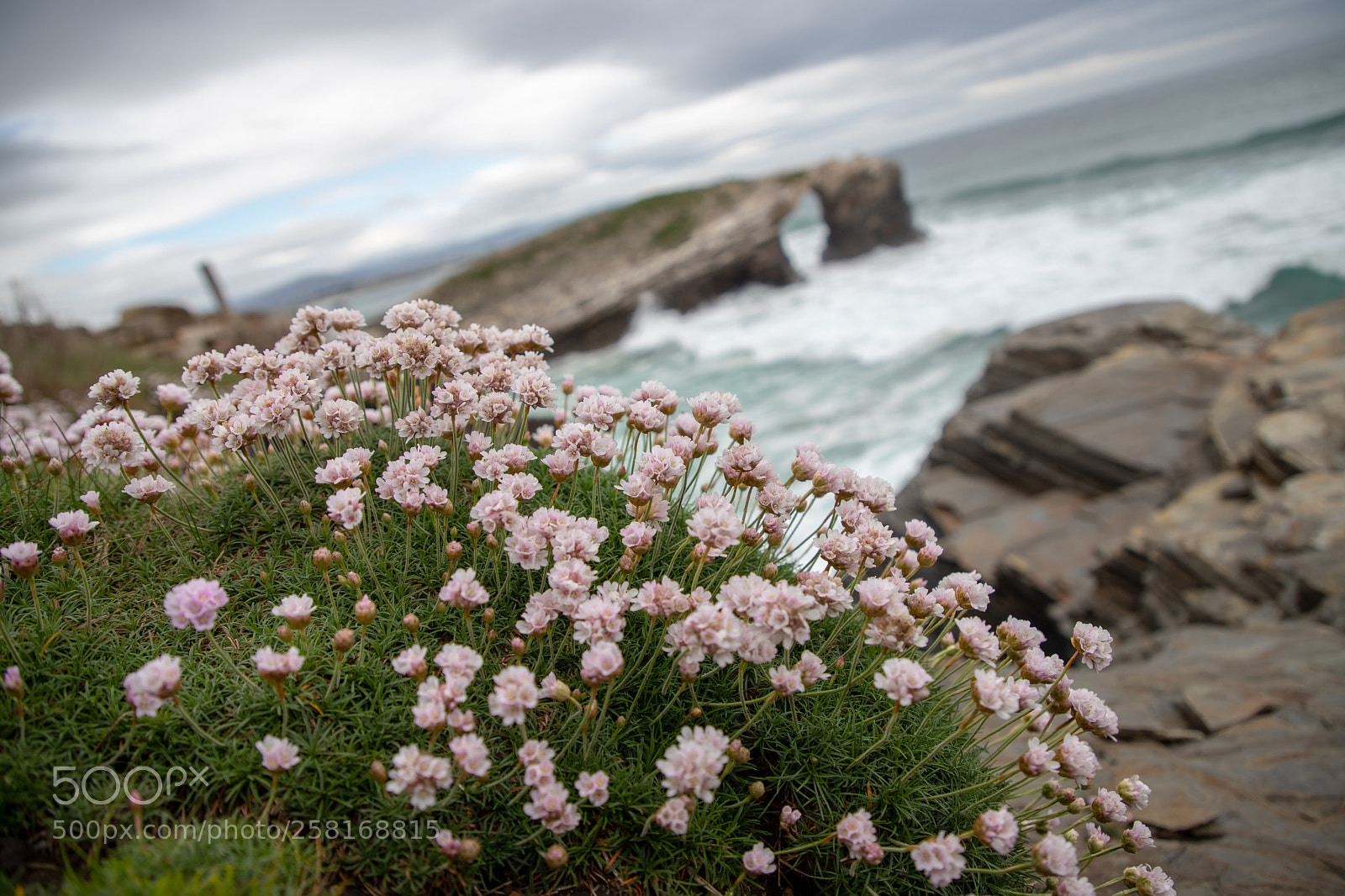 Canon EOS 6D Mark II sample photo. Playa de las catedrales photography