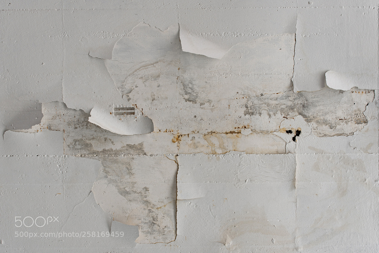 Nikon D750 sample photo. Painting... photography