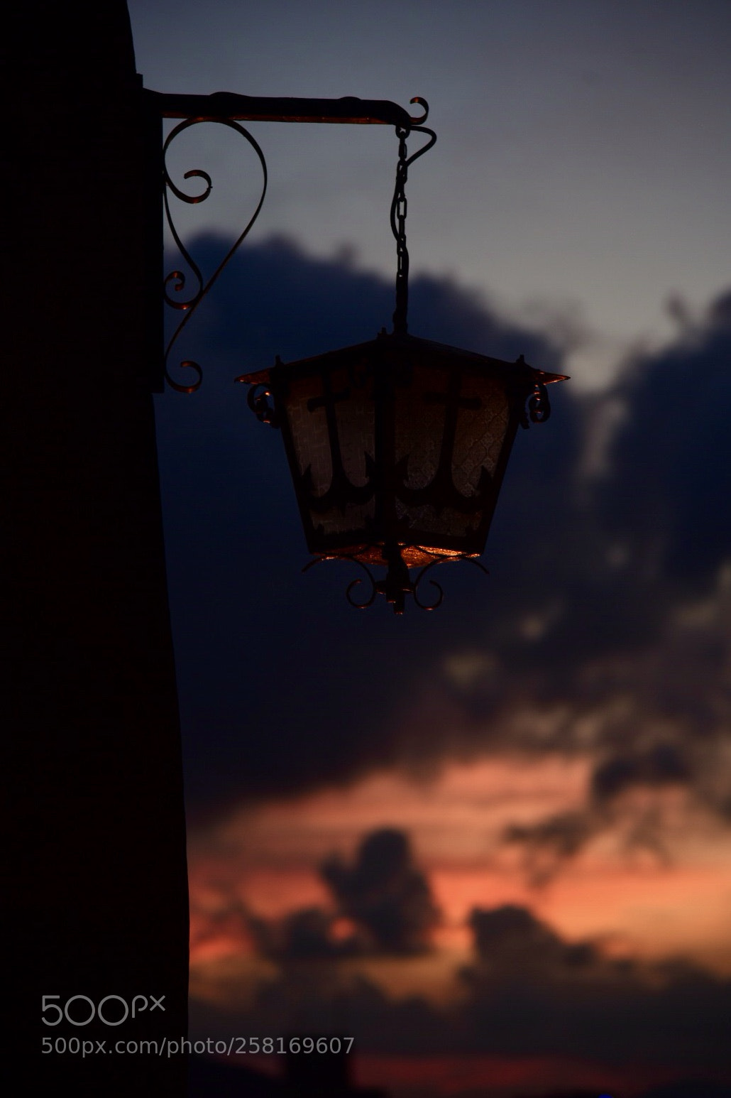 Nikon D750 sample photo. Bloody romance photography