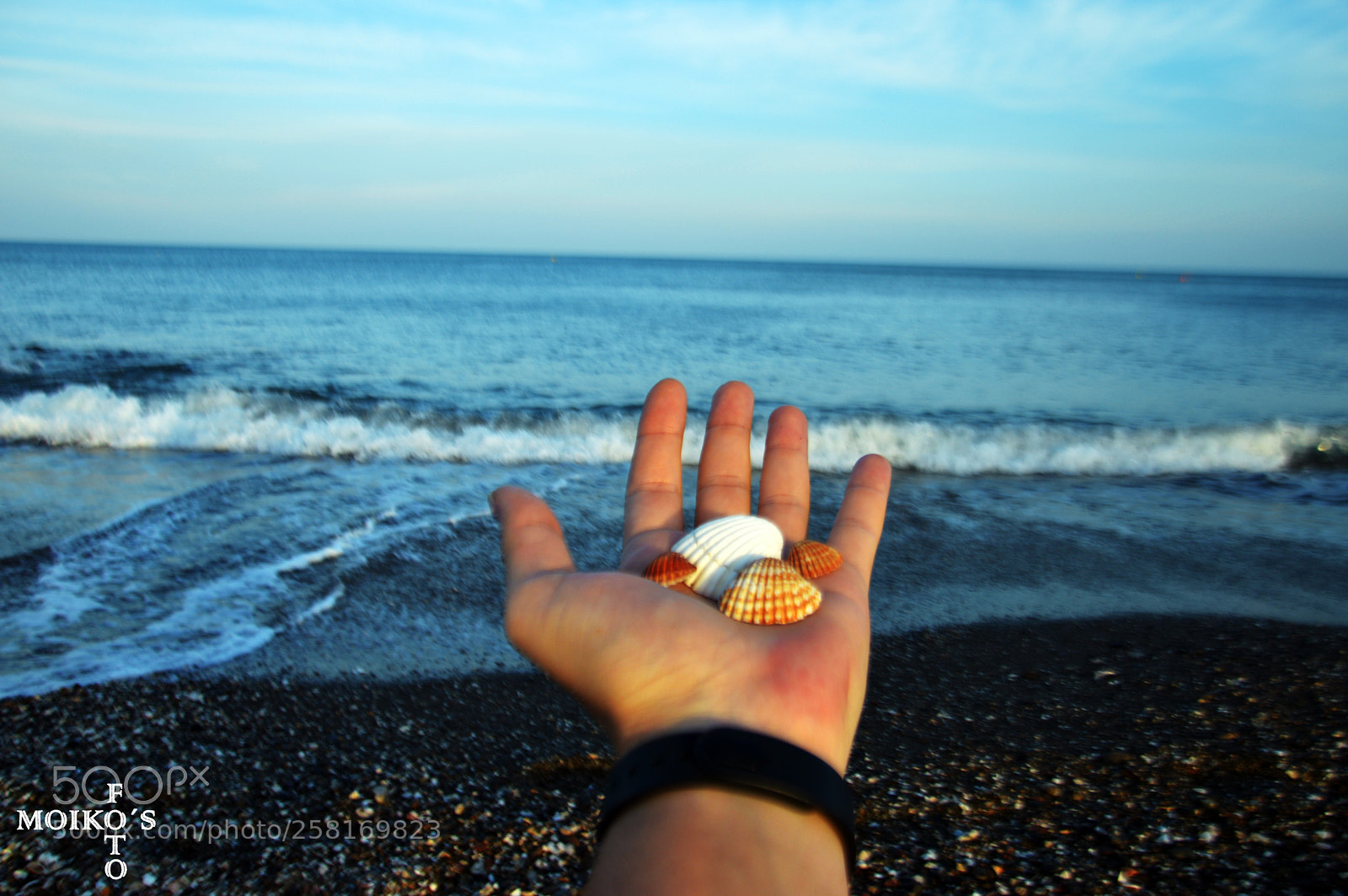Nikon D3200 sample photo. Regalos del mar sea photography