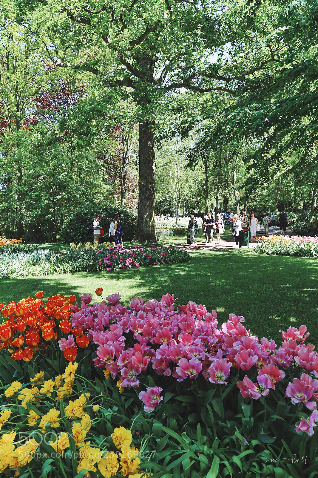 Canon EOS 6D sample photo. Keukenhof photography