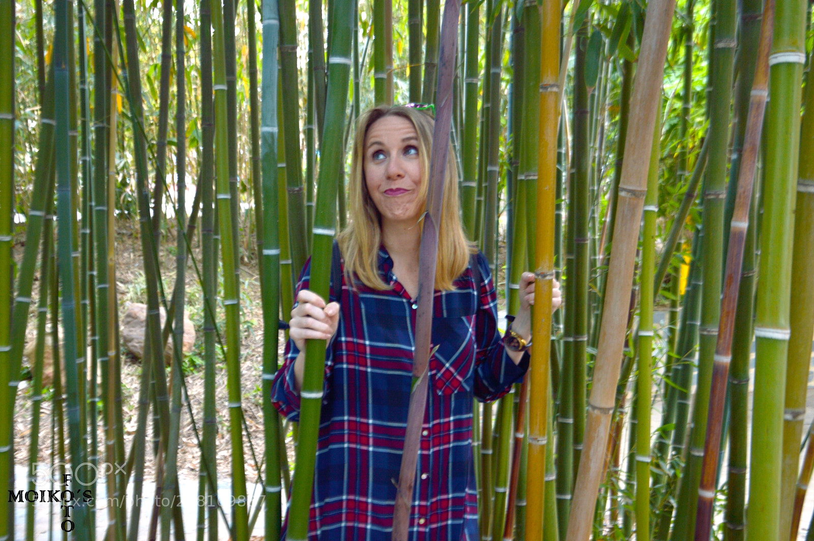 Nikon D3200 sample photo. Entre bambú / between bamboo photography