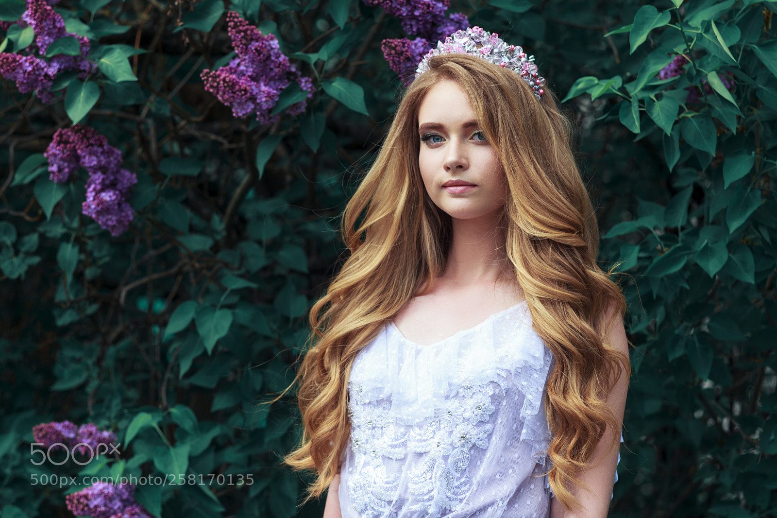 Canon EOS 5D Mark II sample photo. Img photography