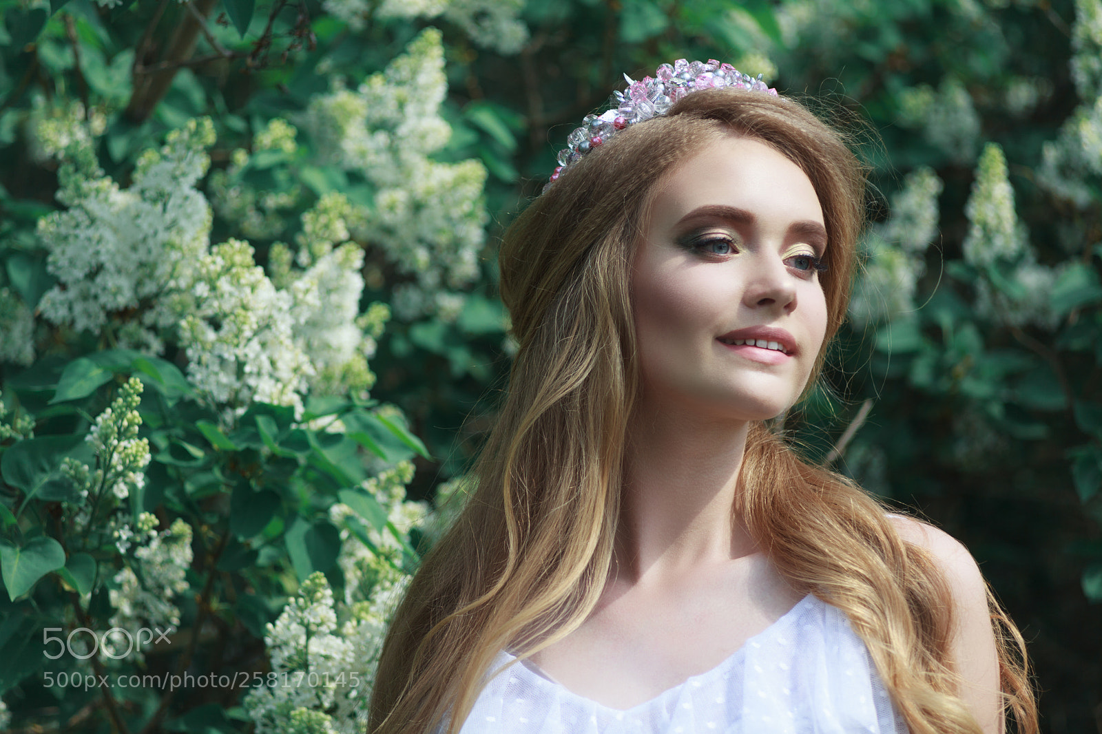 Canon EOS 5D Mark II sample photo. Img photography