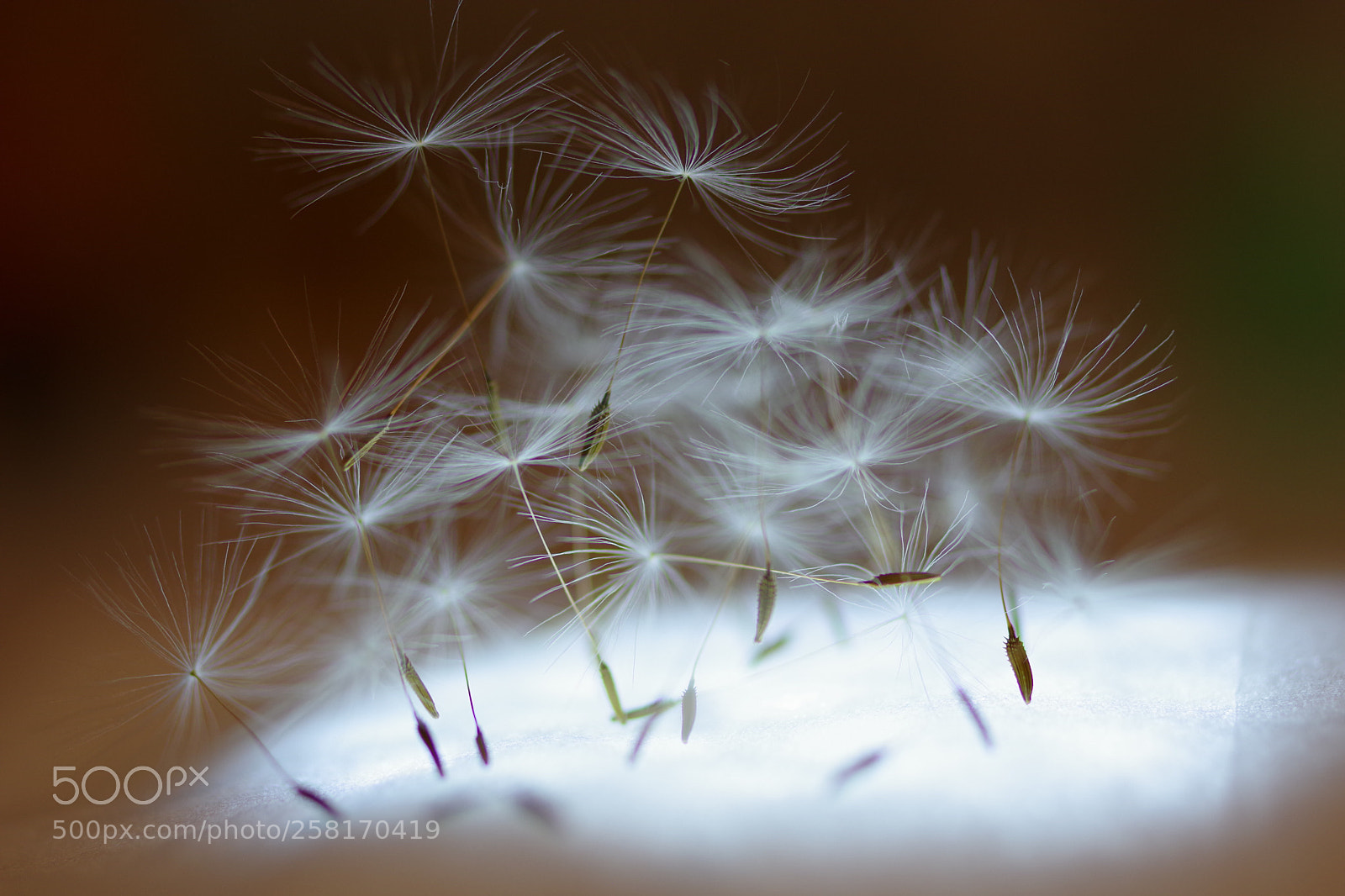 Pentax K-70 sample photo. Untitled photography