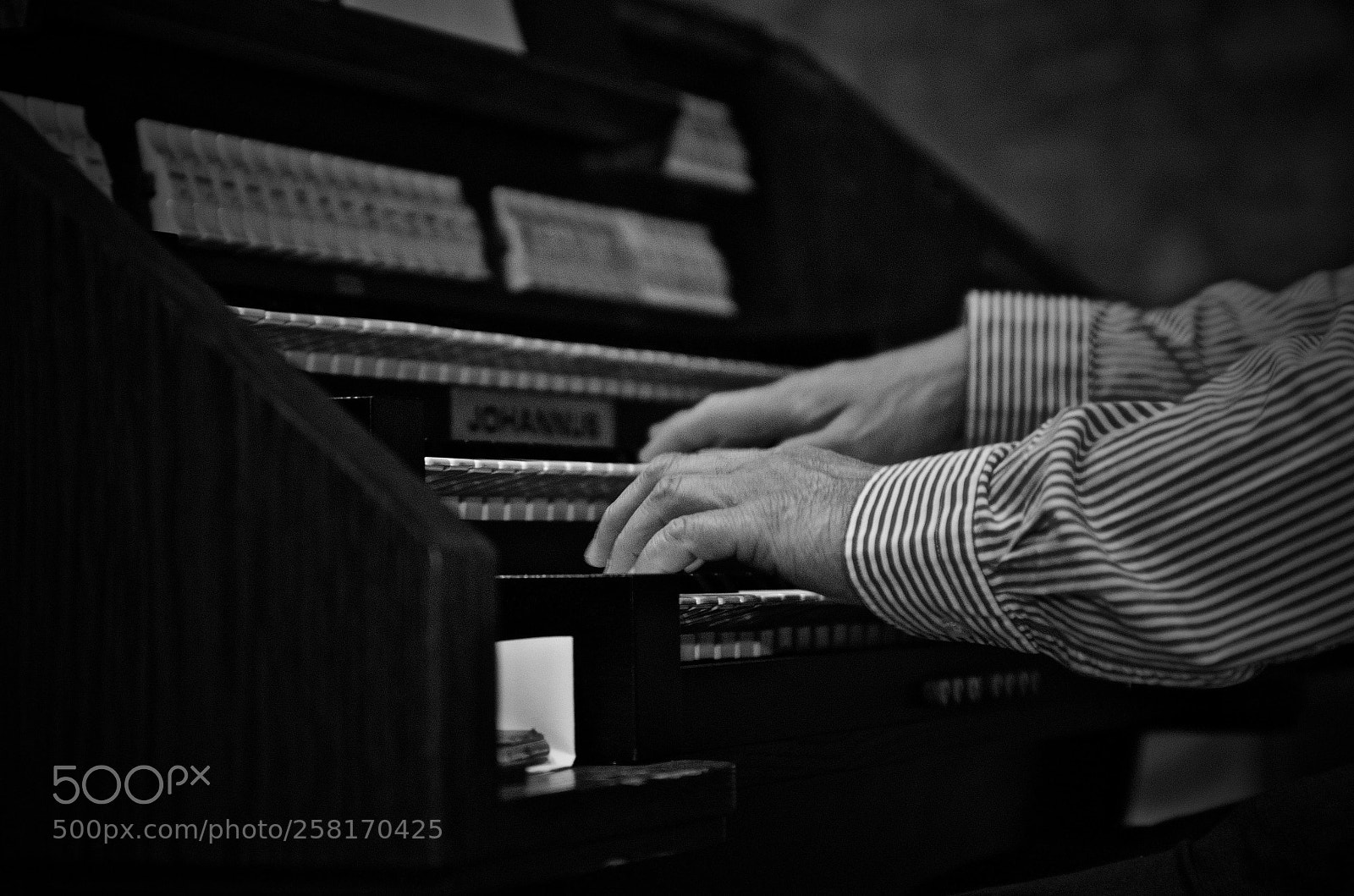 Nikon D7000 sample photo. Untitled photography
