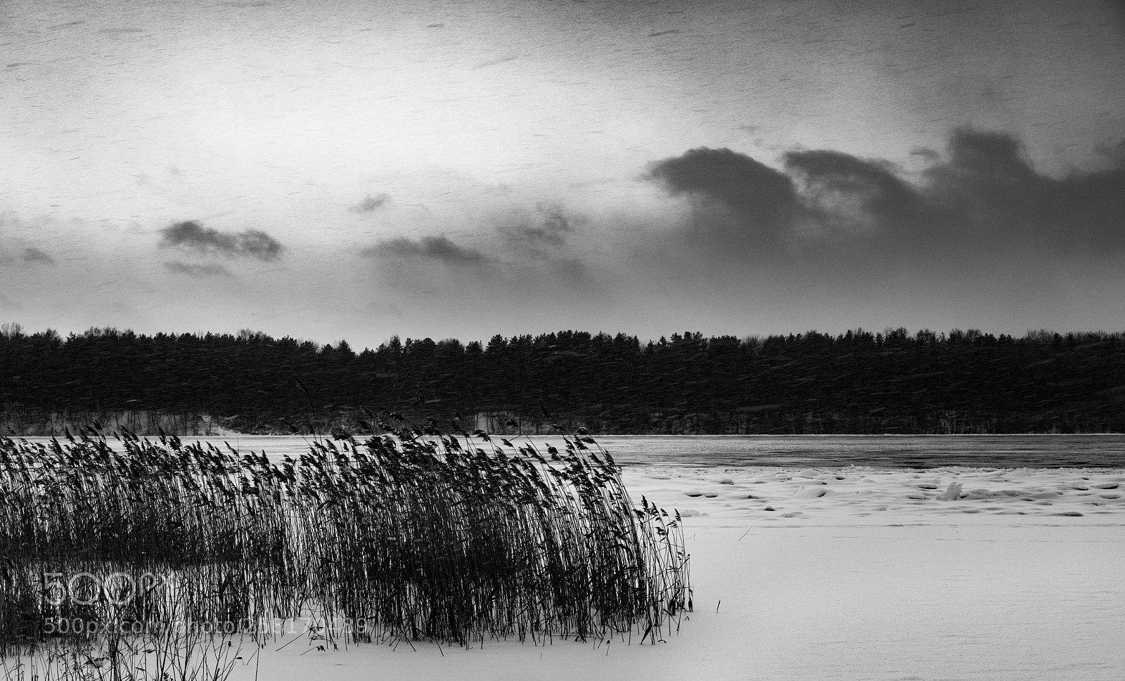 Sony a7R II sample photo. Wind. photography