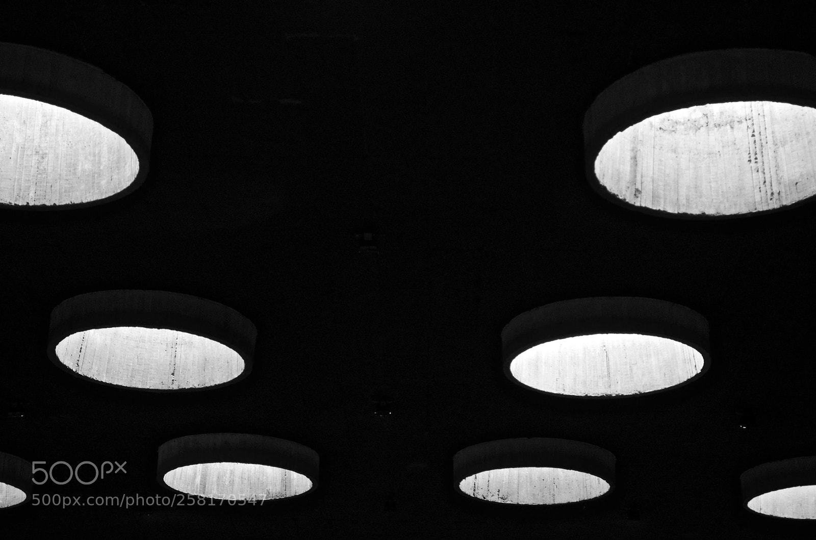 Nikon D7000 sample photo. Untitled photography