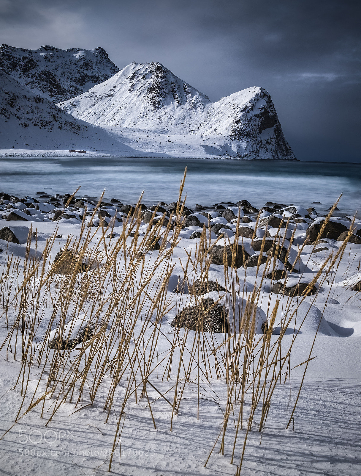 Canon EOS 6D Mark II sample photo. Fighting the winter photography