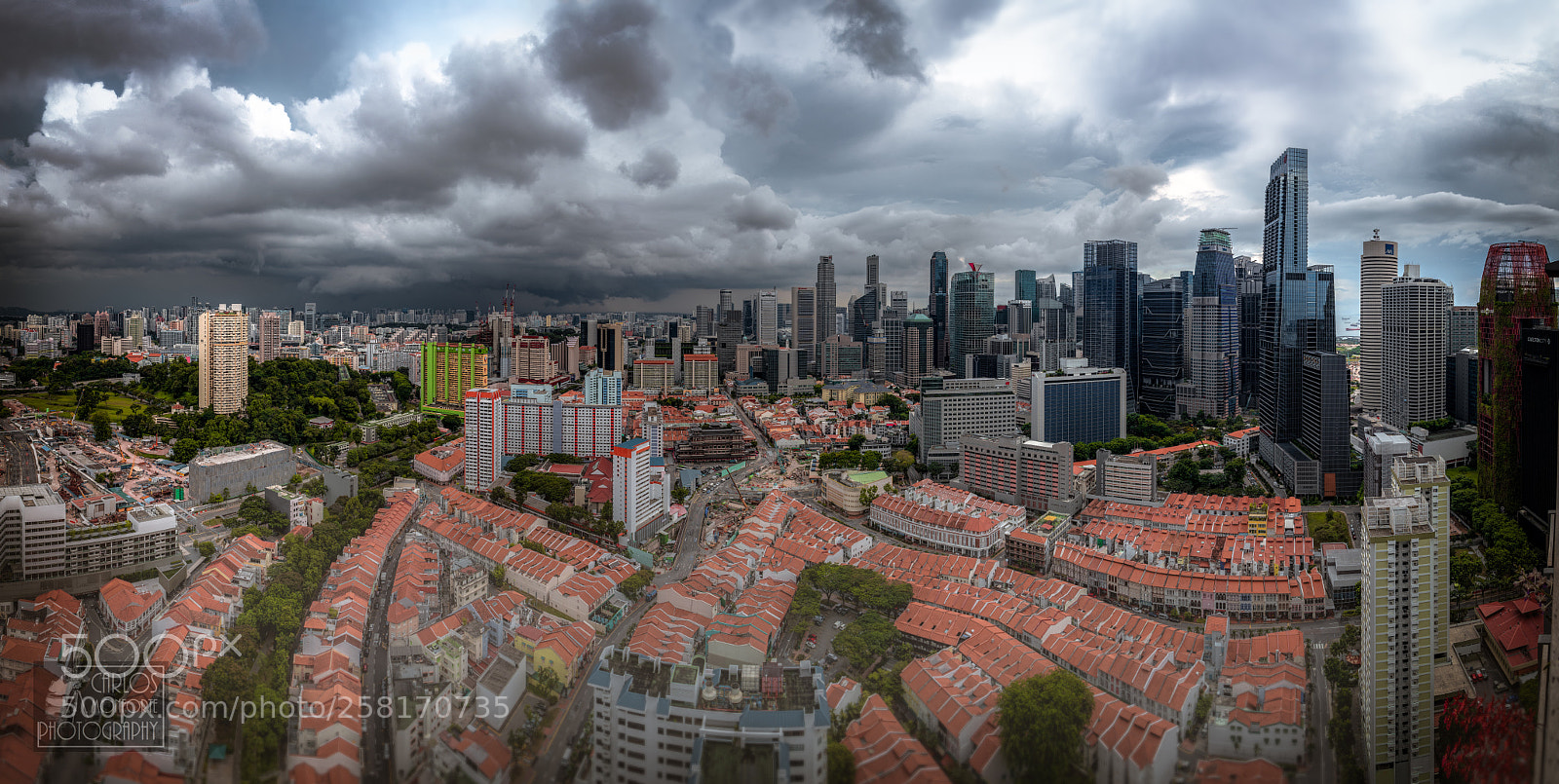 Canon EOS-1D X Mark II sample photo. Cloudy afternoon photography