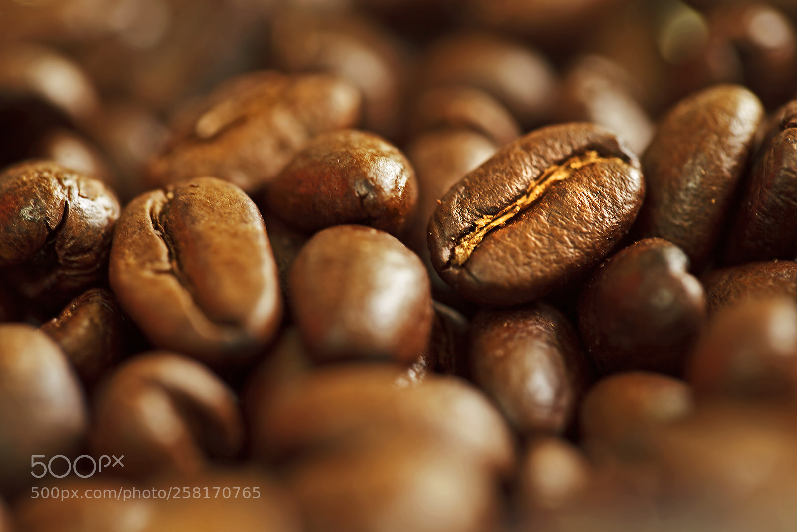 Canon EOS 5D Mark II sample photo. Can you smell coffee? photography