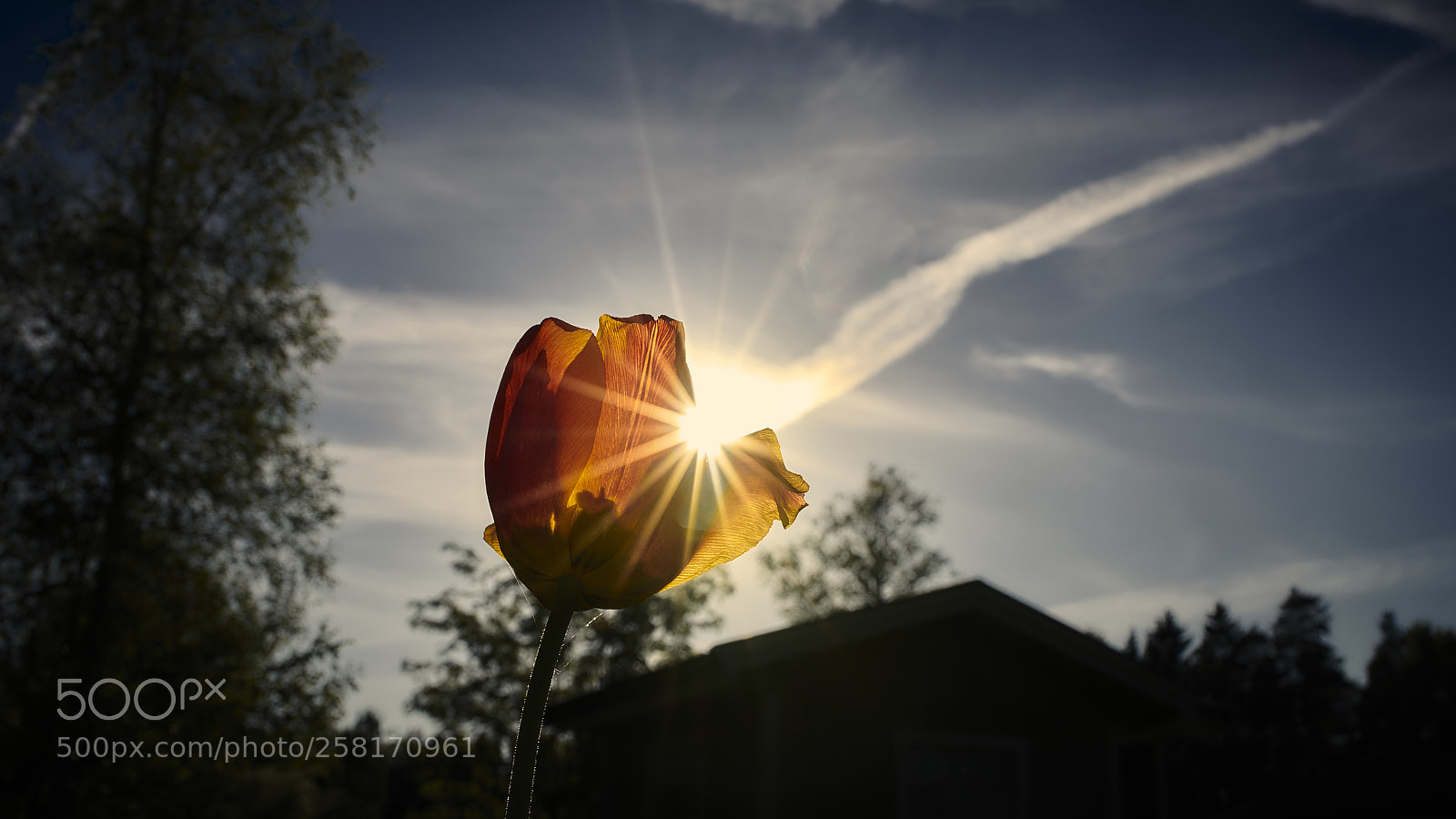 Nikon D850 sample photo. Comet strike photography