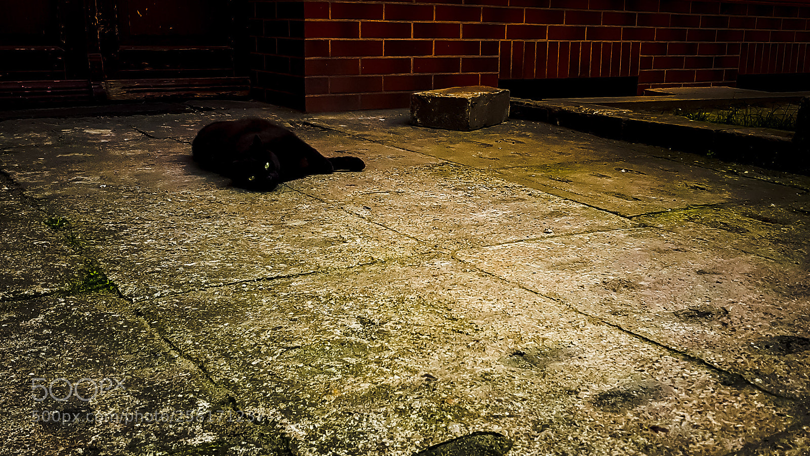 Samsung Galaxy S8 sample photo. Black cat photography