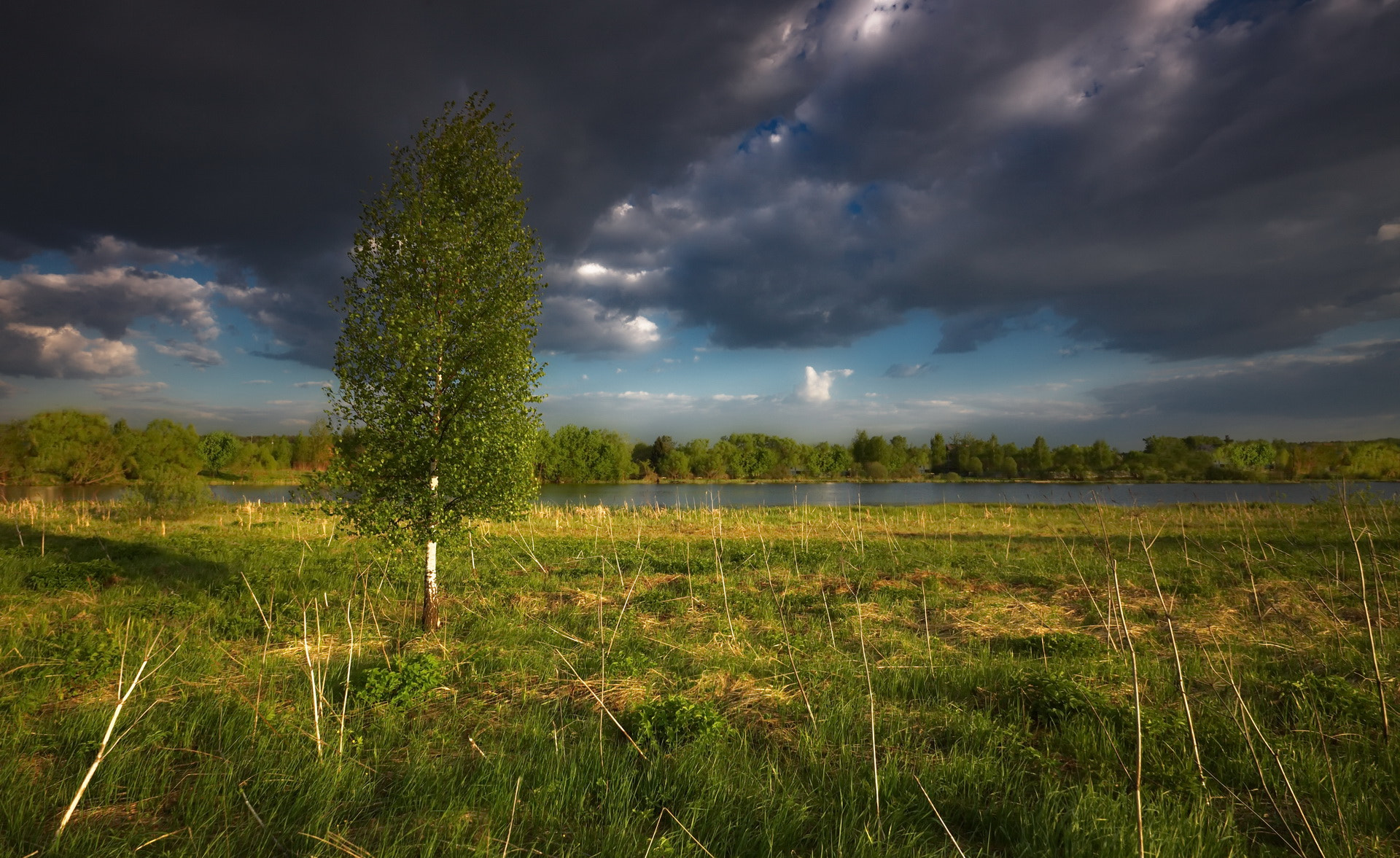 Sigma 10-20mm F3.5 EX DC HSM sample photo. Жизнь продолжается... photography