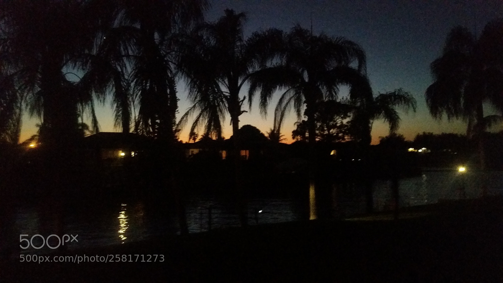 Samsung Galaxy S5 sample photo. Untitled photography