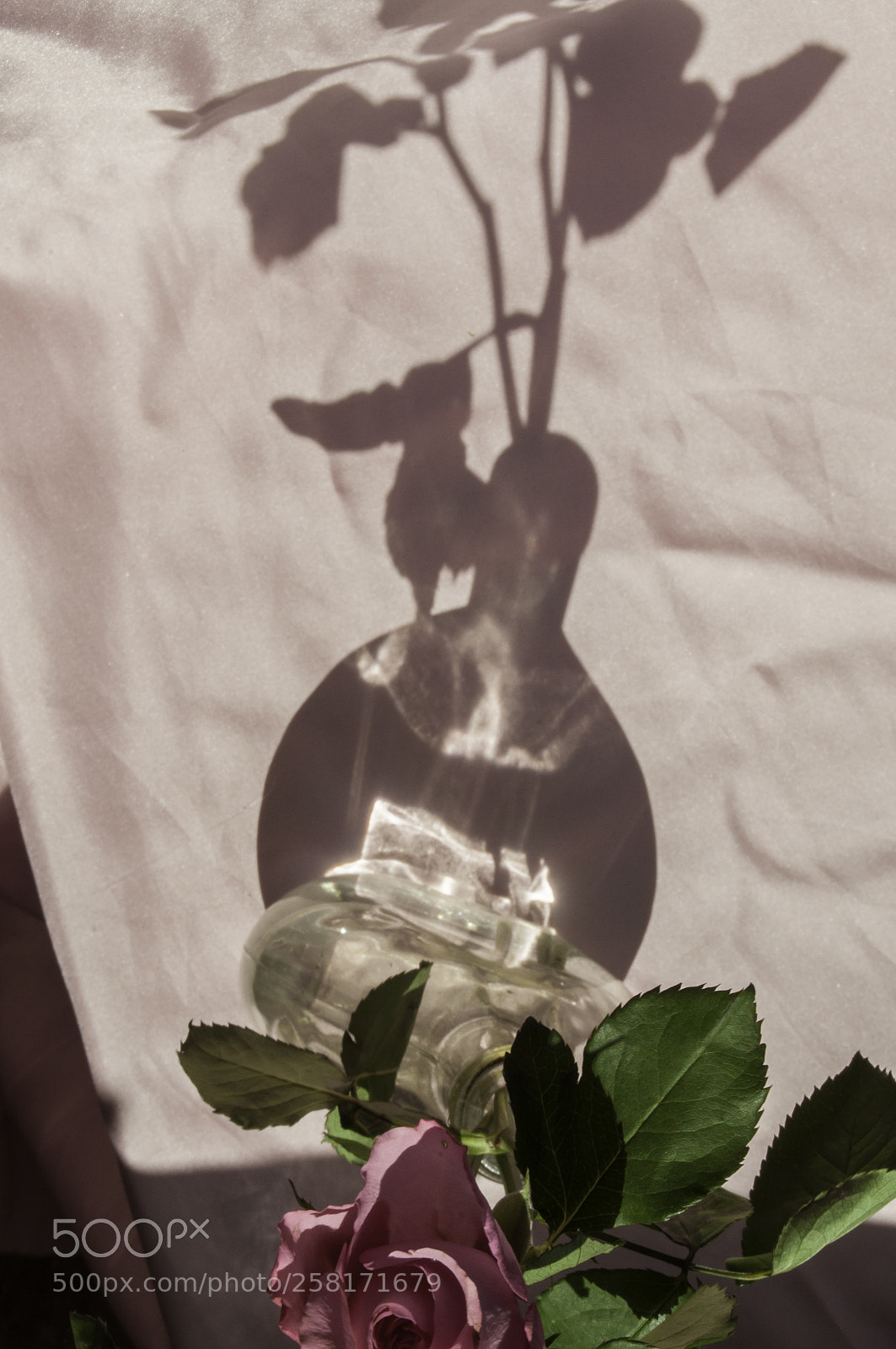 Nikon D5000 sample photo. (of ) photography