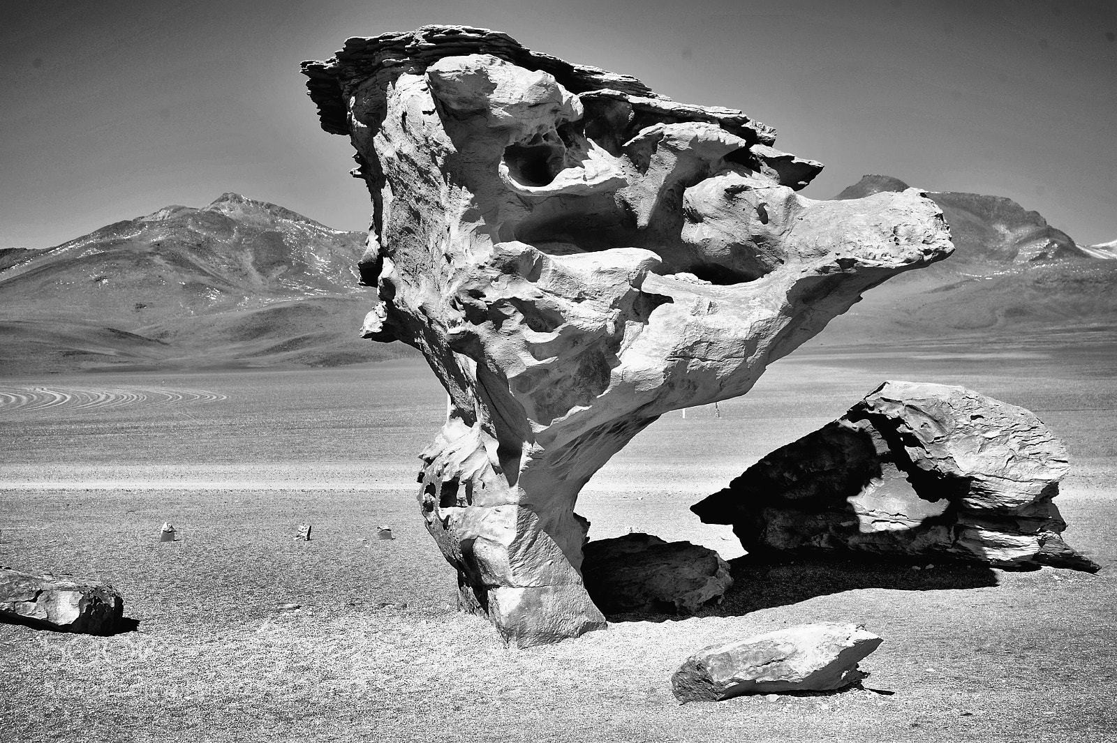 Nikon D700 sample photo. El arbol de piedra photography