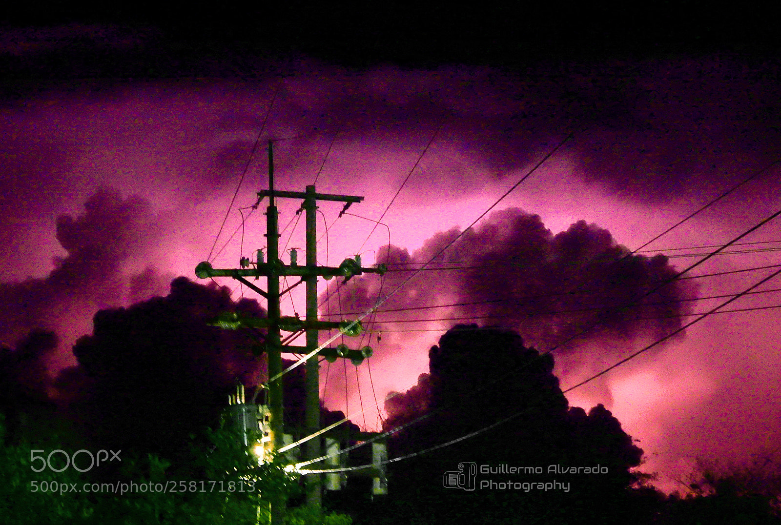 Nikon Coolpix P900 sample photo. Purple storm photography