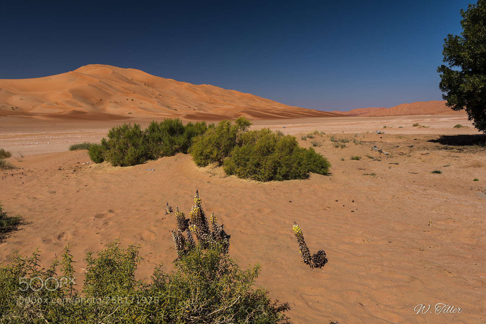 Nikon D810 sample photo. Rub al-khali photography