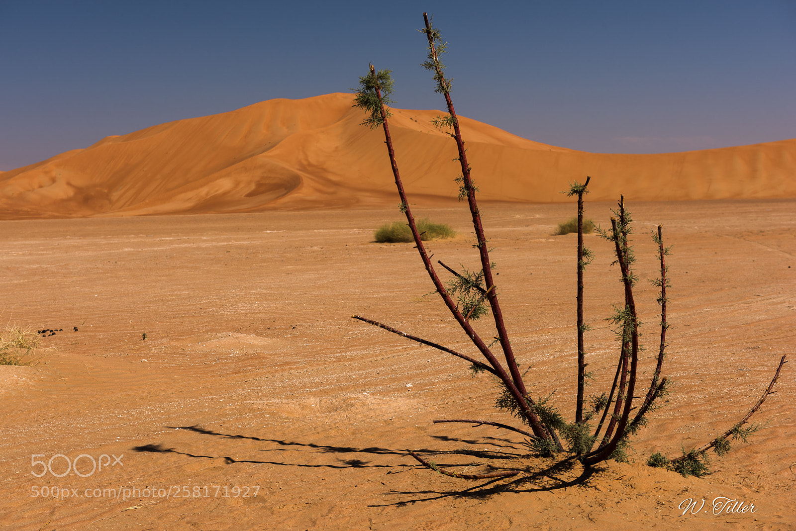 Nikon D810 sample photo. Rub al-khali photography