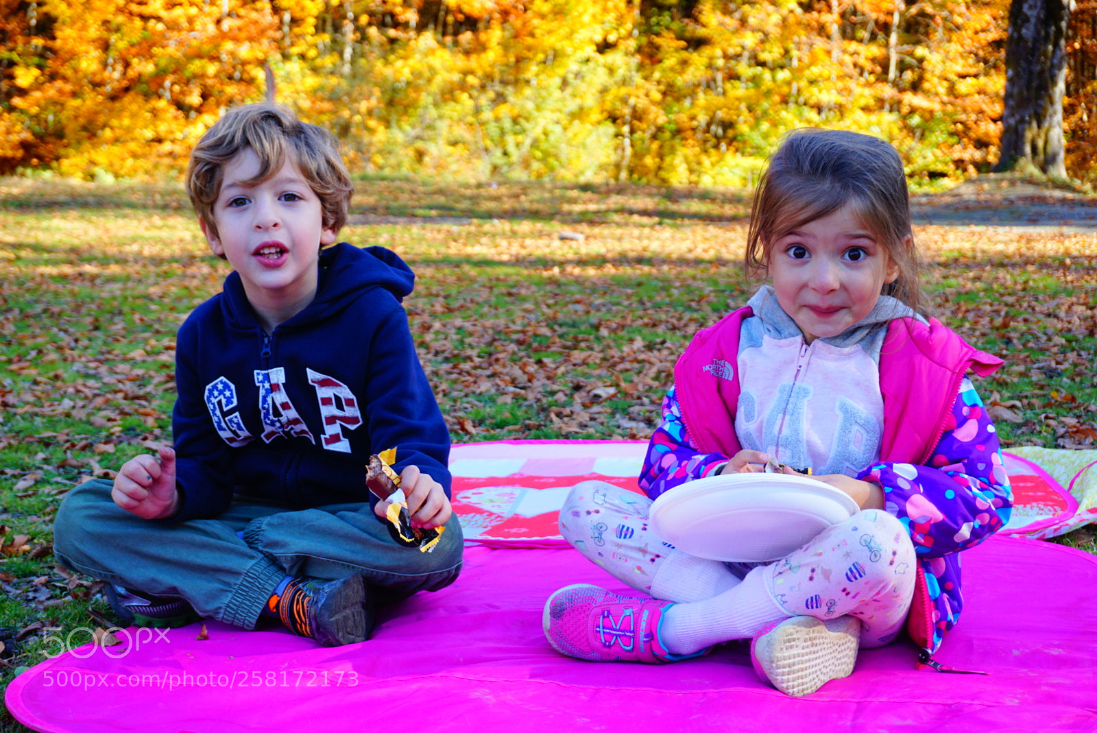 Sony a6000 sample photo. Autumn photography