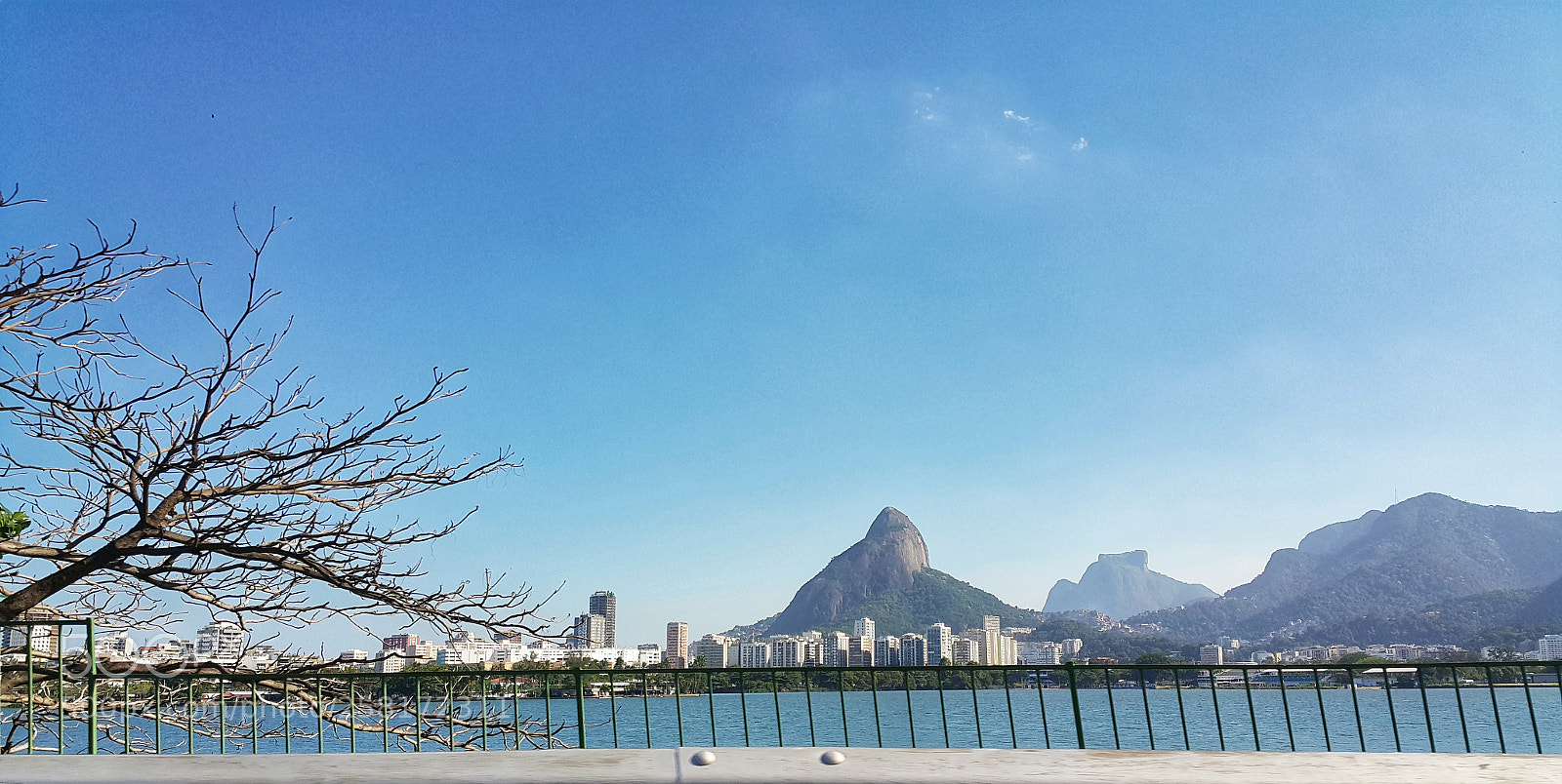 Samsung Galaxy Note4 sample photo. Sunny day! photography
