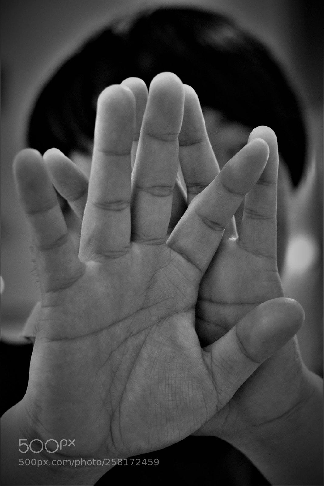 Nikon D3300 sample photo. Talk to my hand photography