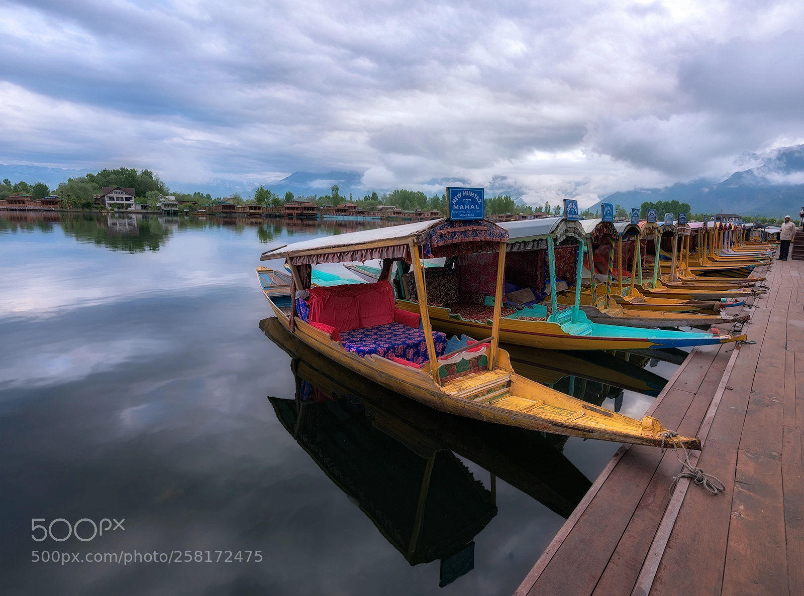 Nikon D810 sample photo. Waiting shikaras, srinagar, jammu photography