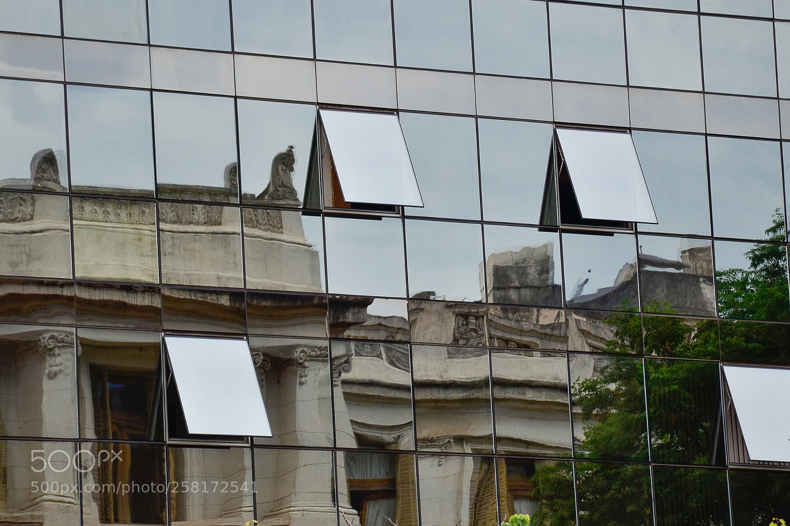 Nikon D3100 sample photo. Reflejos photography