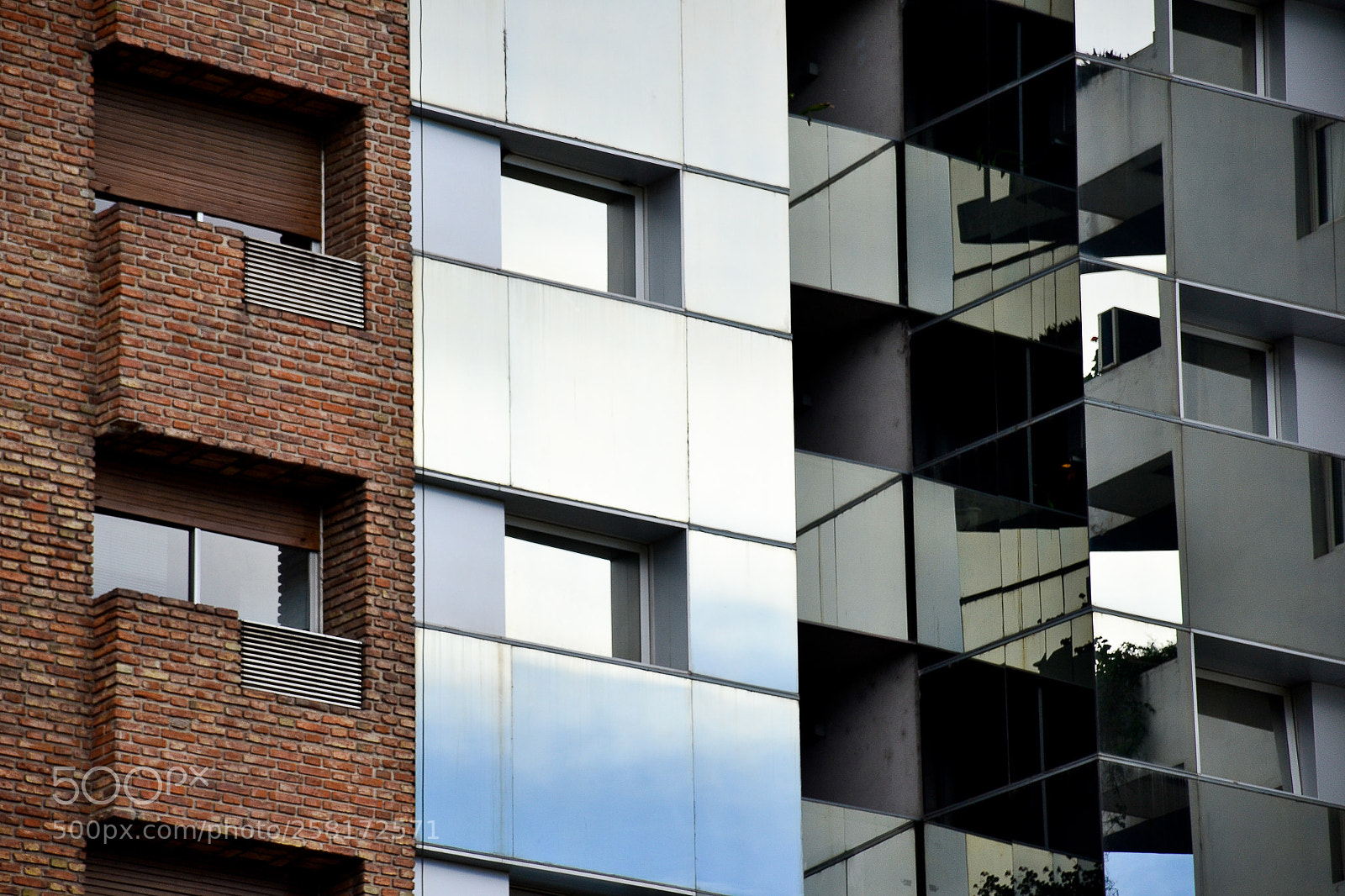 Nikon D3100 sample photo. Texturas photography