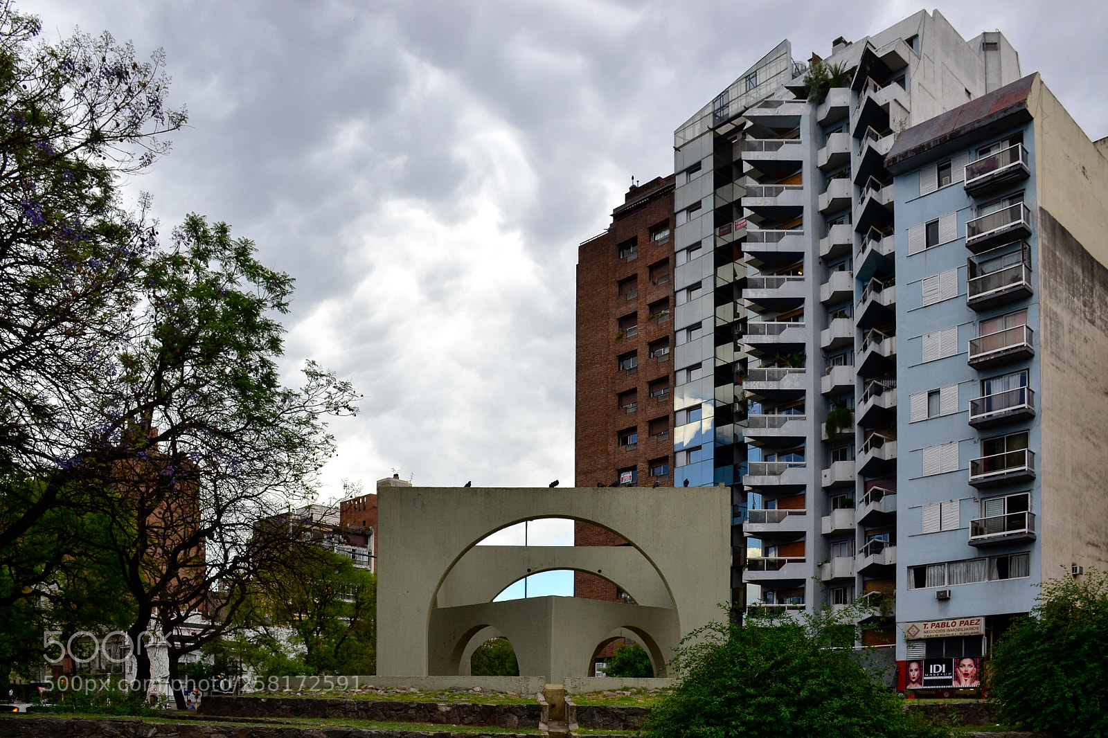 Nikon D3100 sample photo. Observen photography