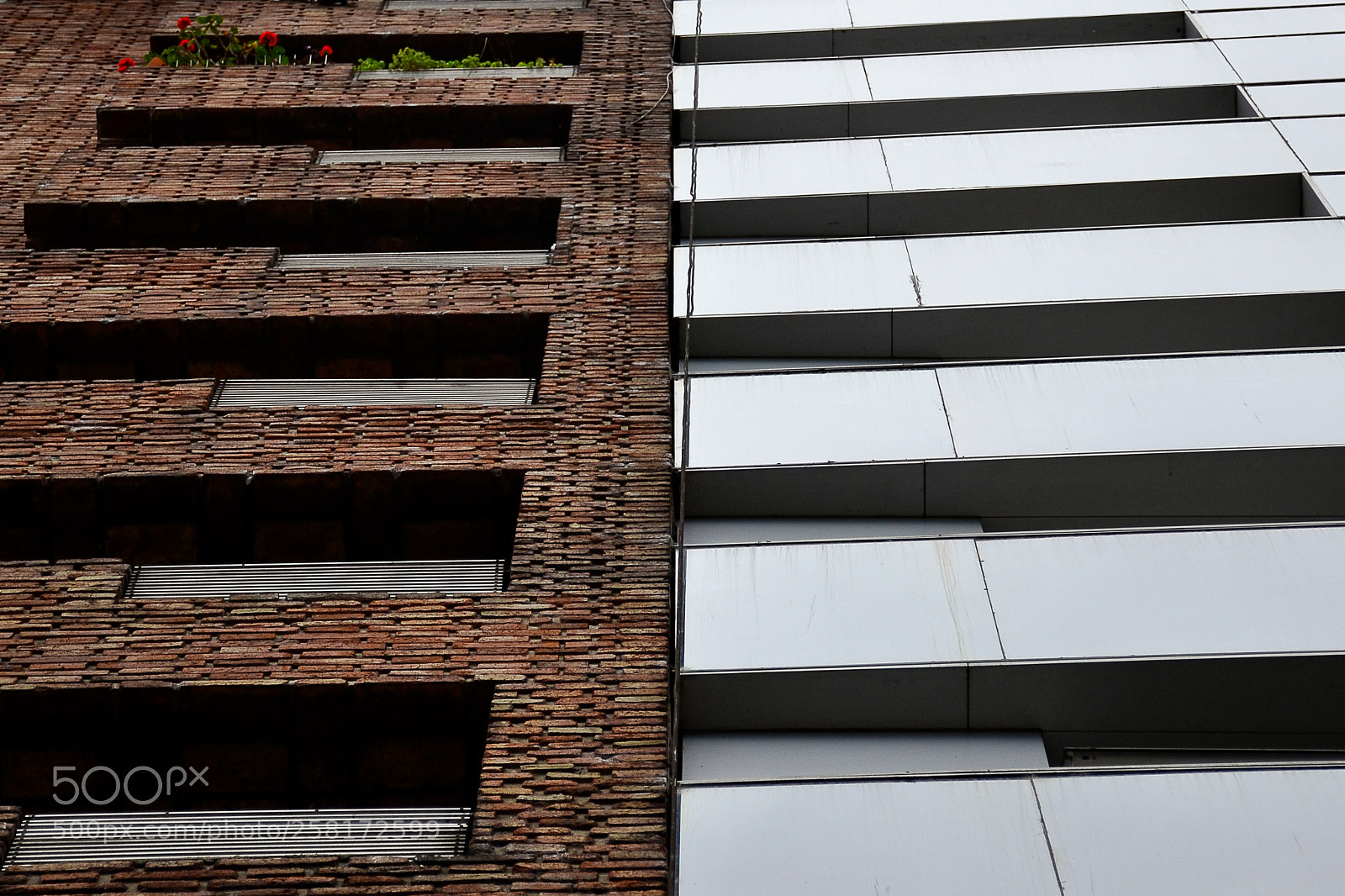 Nikon D3100 sample photo. Rugoso y liso photography