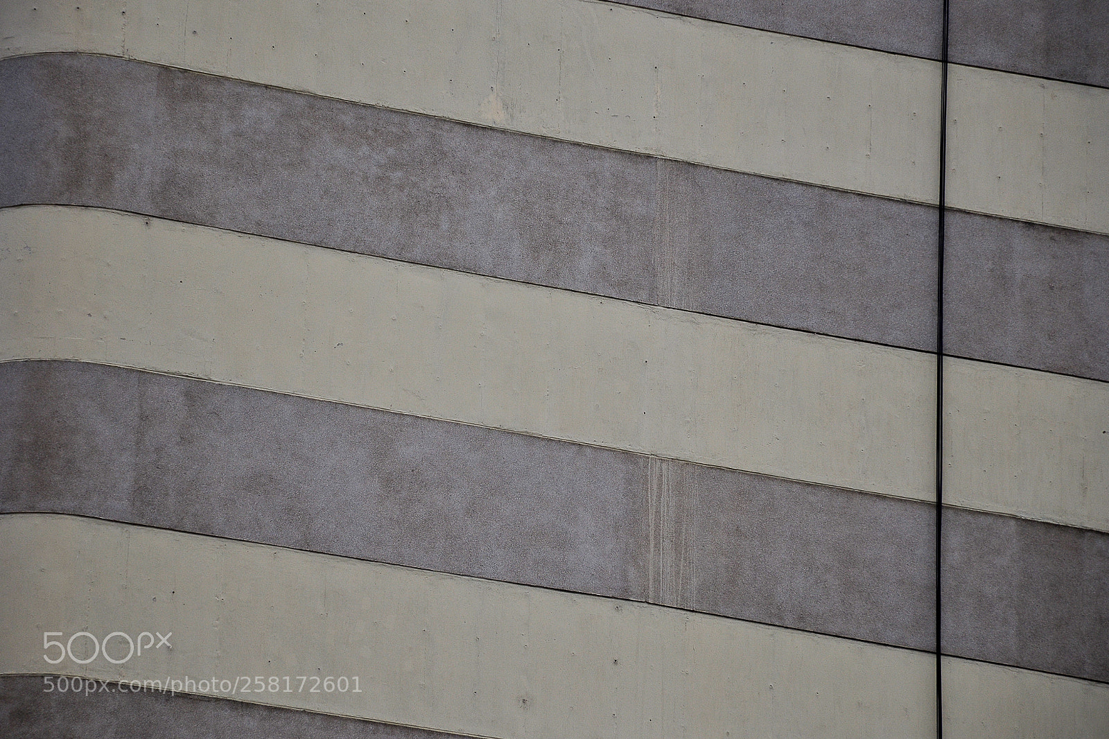 Nikon D3100 sample photo. Franjas photography