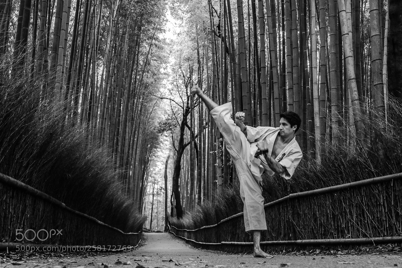 Canon EOS 70D sample photo. The bamboo fighter! photography