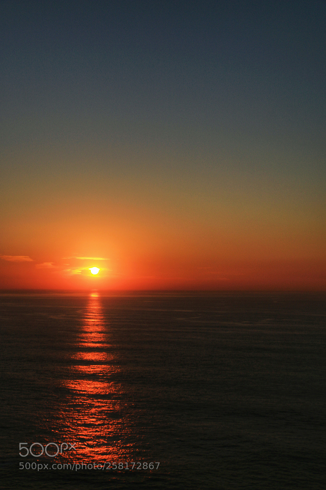 Canon EOS 70D sample photo. Untitled photography