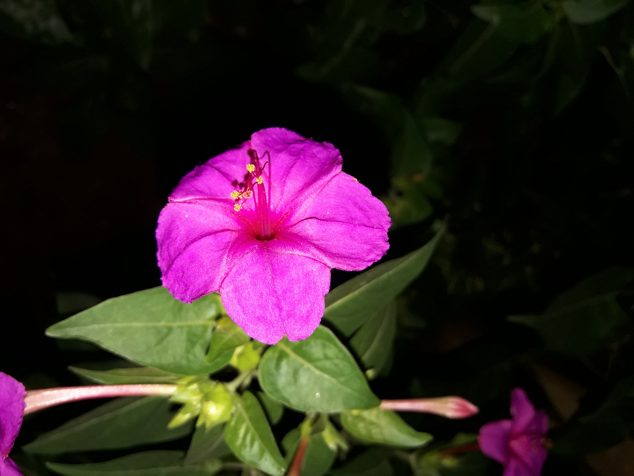 Samsung Galaxy J7 Neo sample photo
