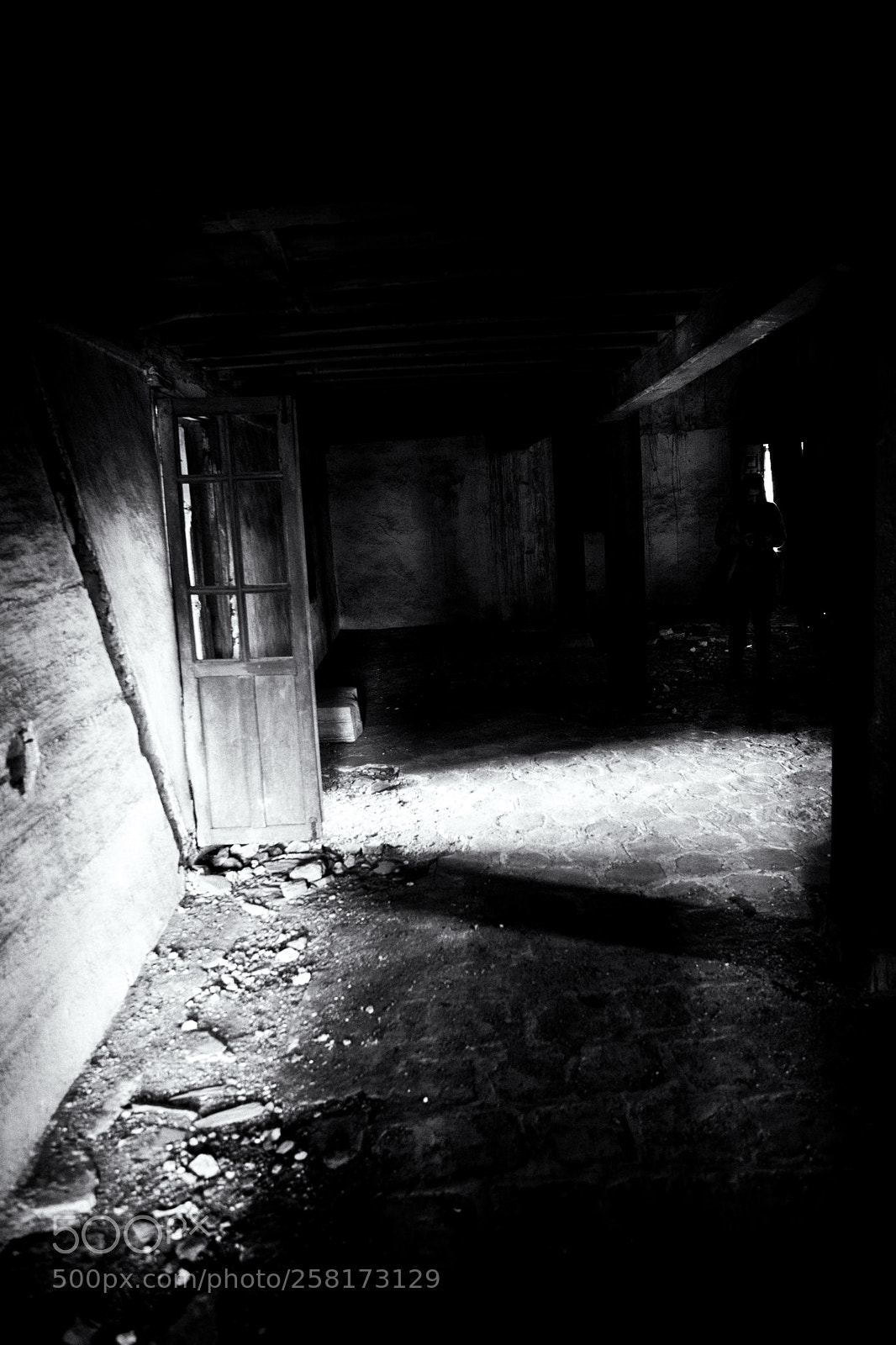 Canon EOS 5D Mark II sample photo. Untitled photography