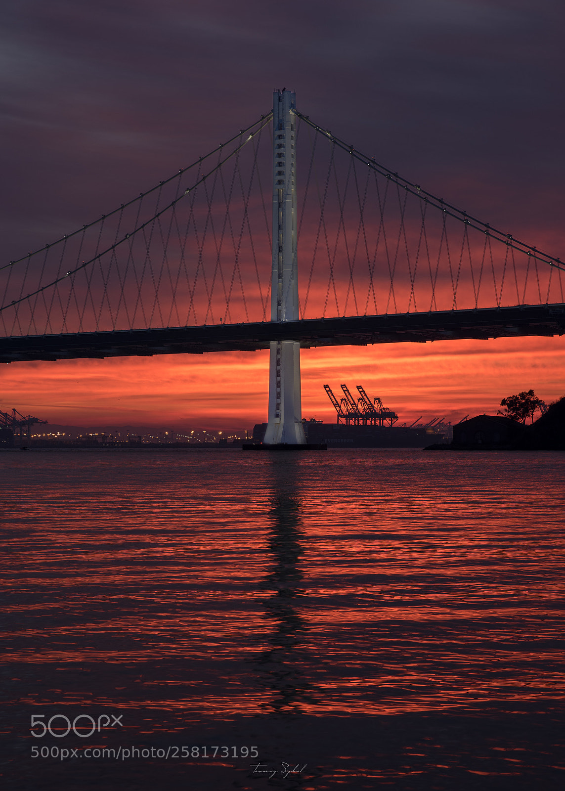 Nikon D750 sample photo. Crimson tide photography