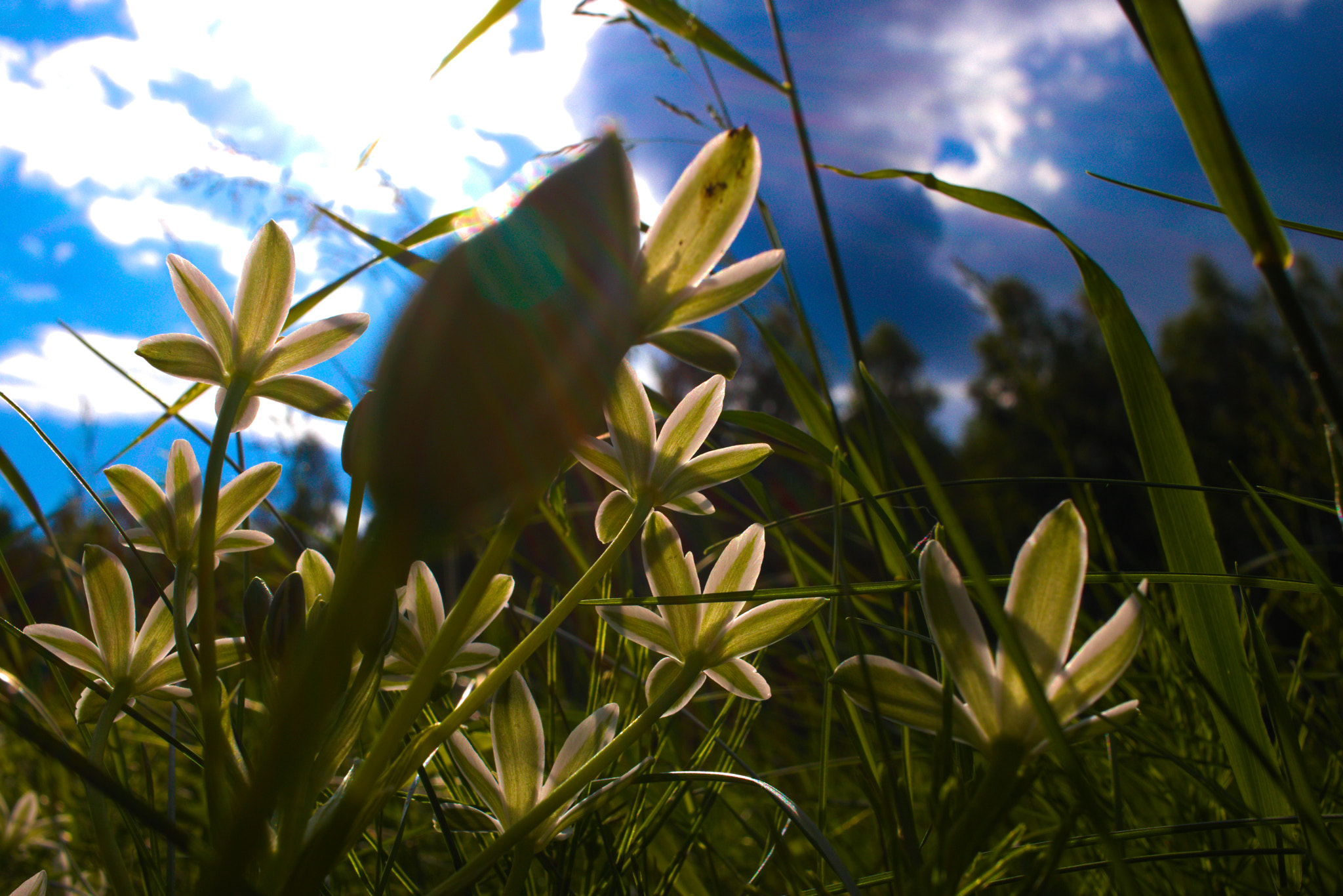 Canon EF-S 24mm F2.8 STM sample photo