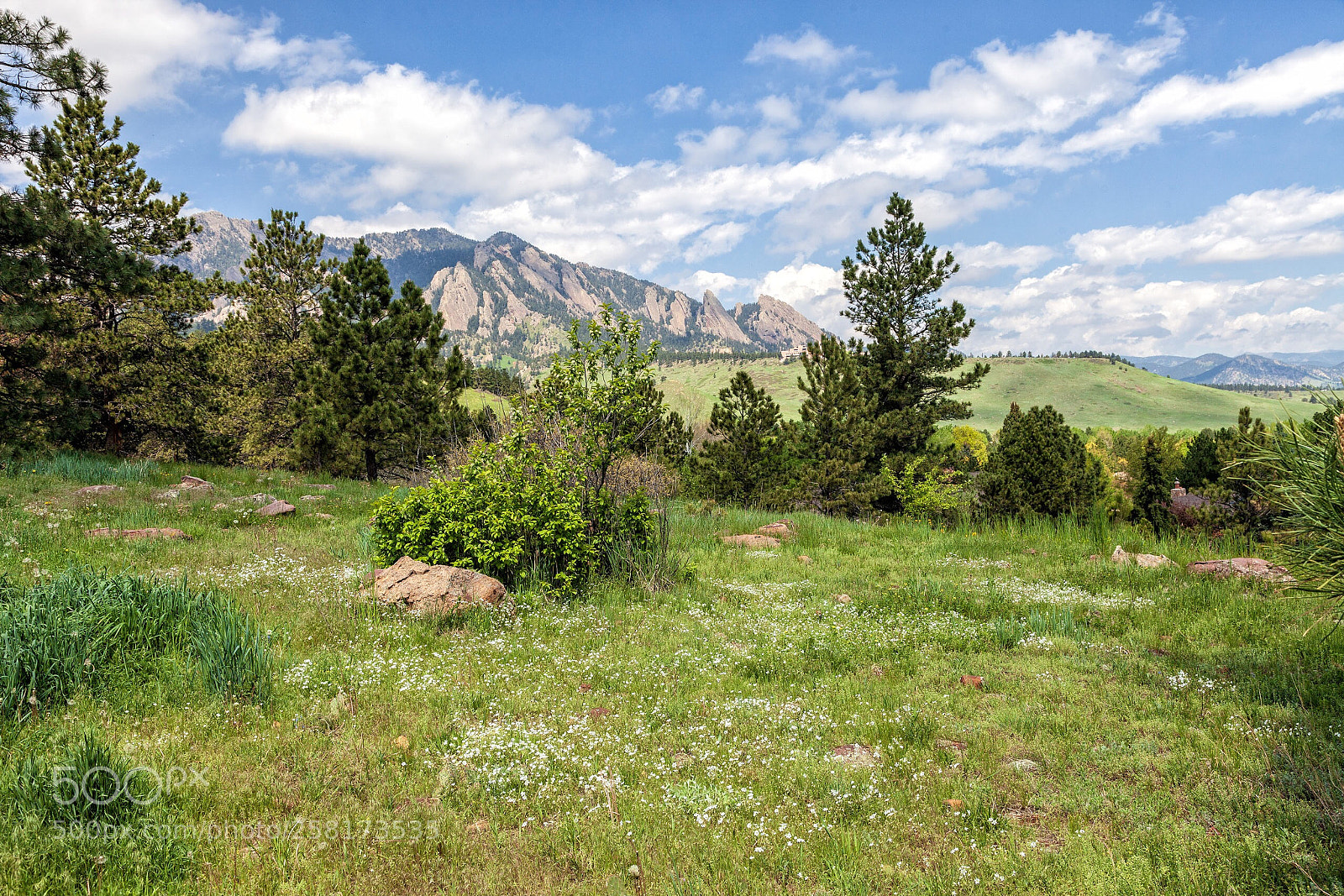 Canon EOS 5D Mark II sample photo. Spring majesty photography