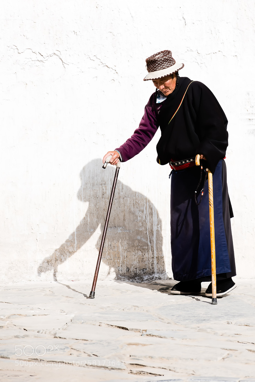 Nikon D810 sample photo. Walking 一步 photography