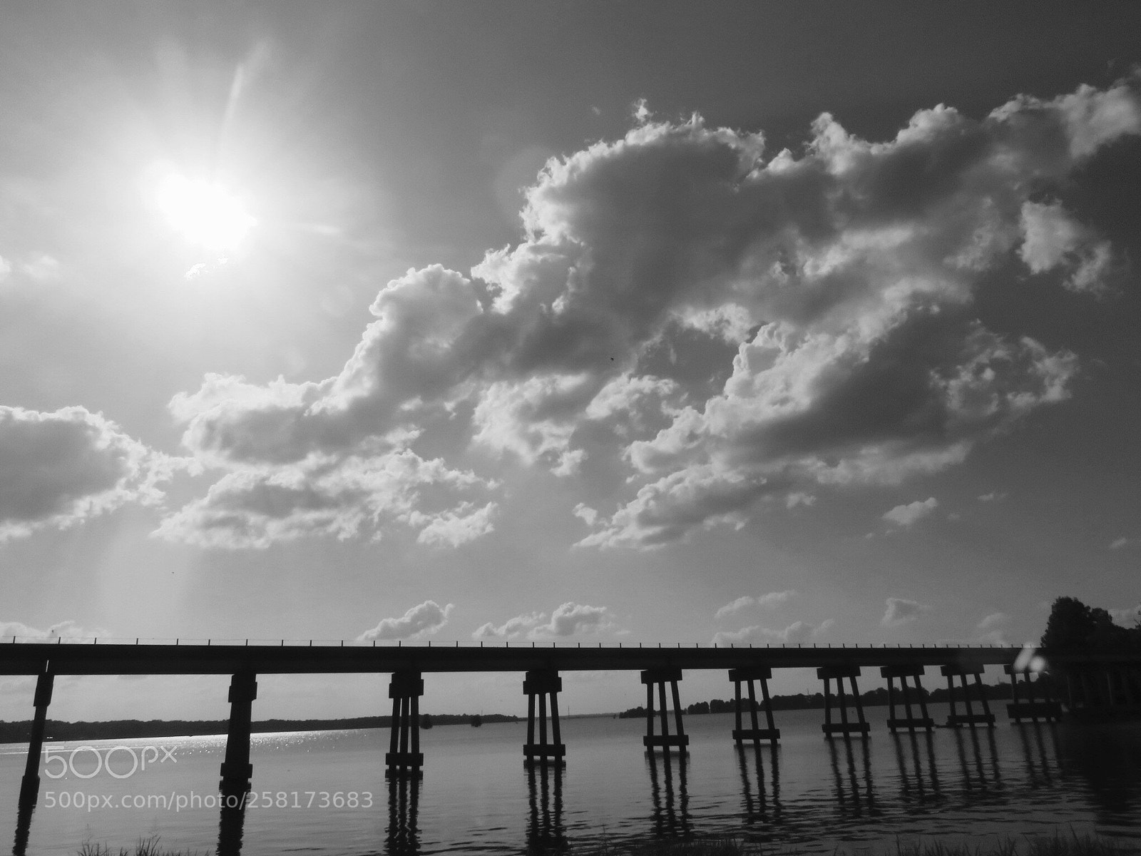 Canon PowerShot SX710 HS sample photo. Bw jetty
 photography