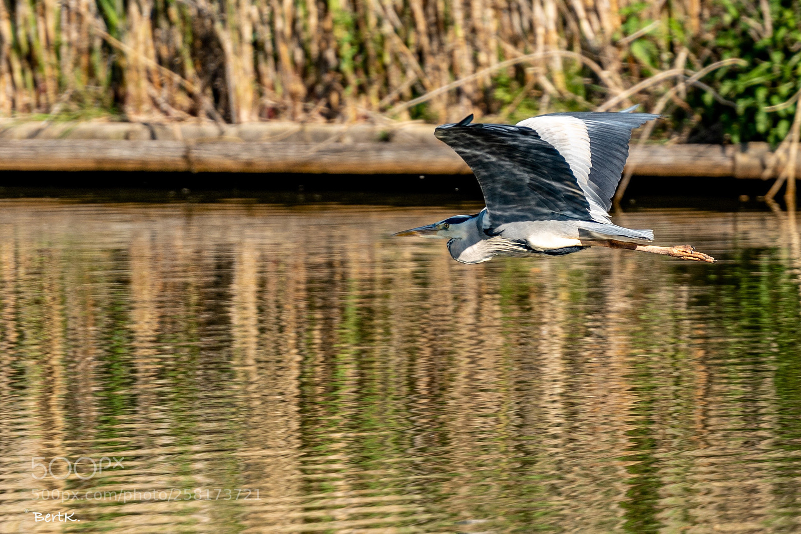 Nikon D500 sample photo. Perfect balance. photography