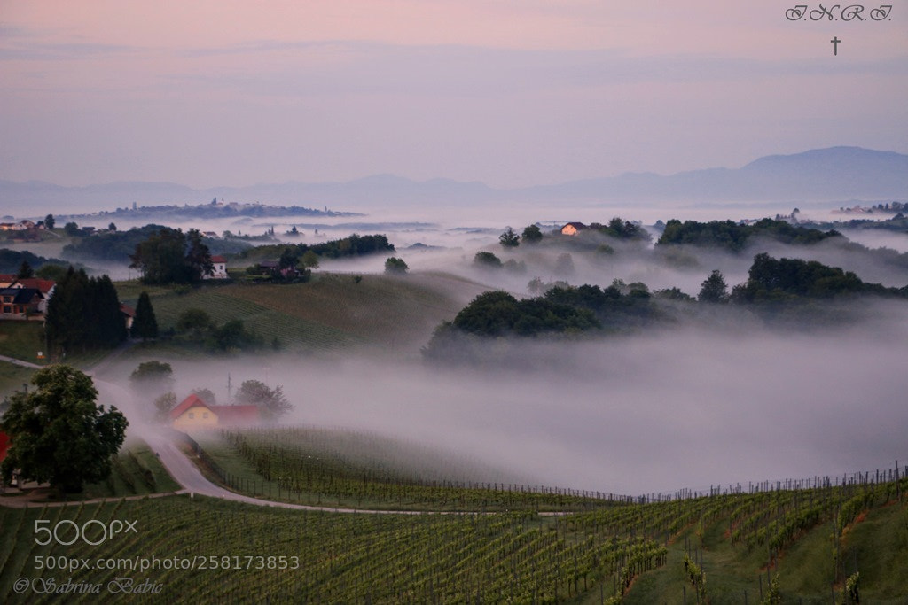 Canon EOS 70D sample photo. Breathtaking morning vi jeruzalem photography