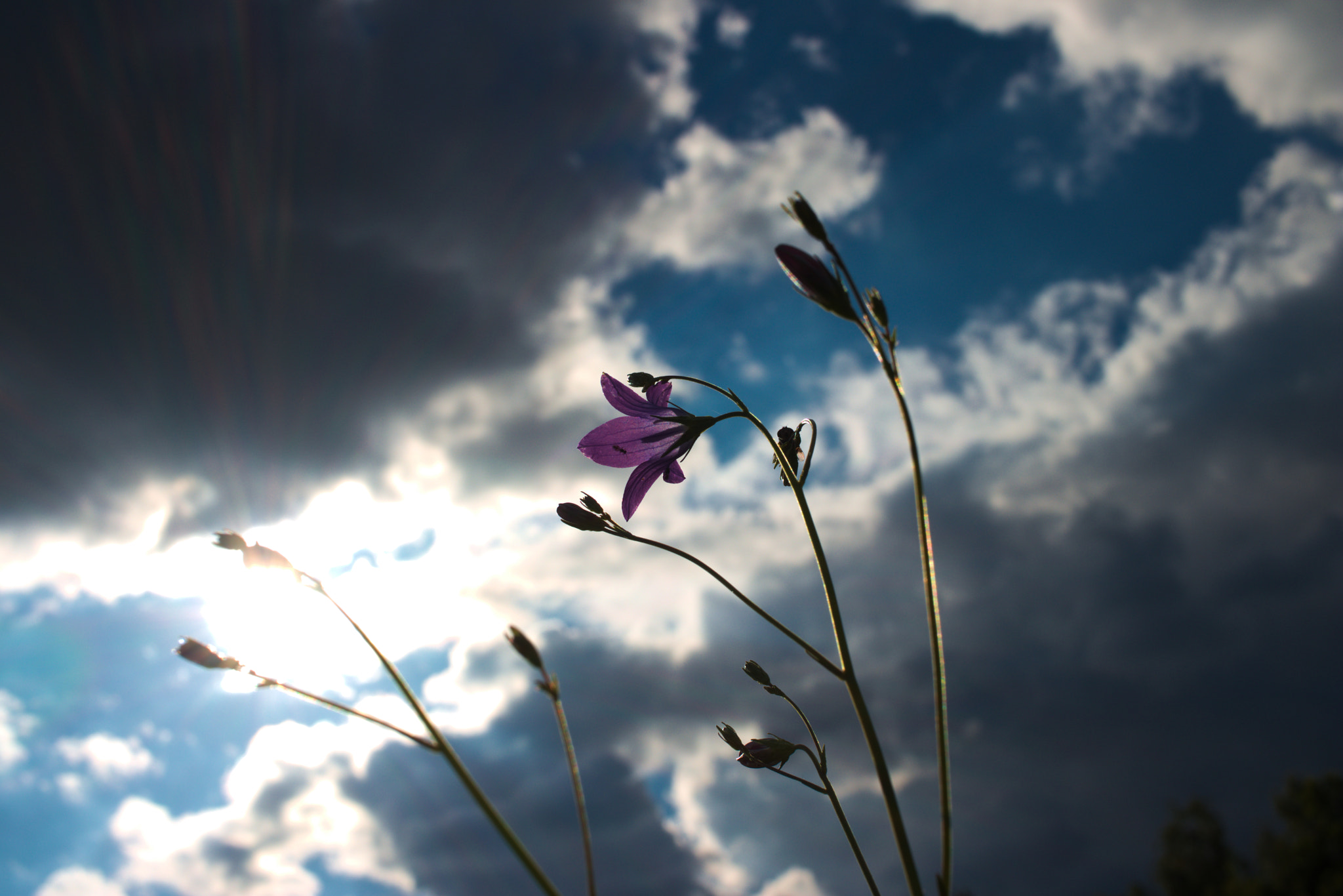 Canon EF-S 24mm F2.8 STM sample photo