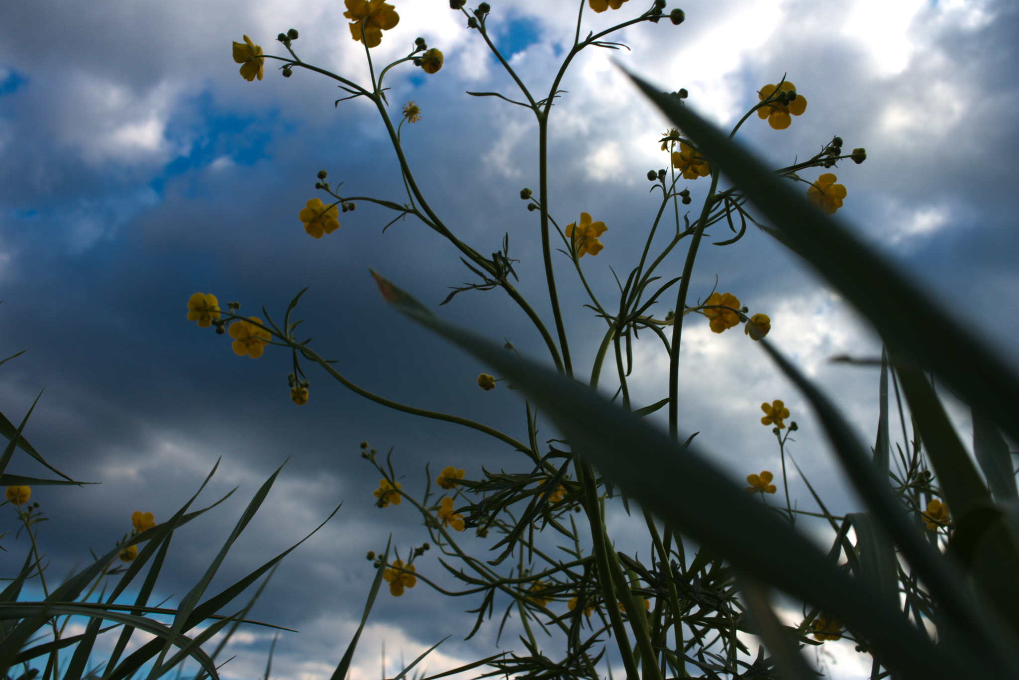 Canon EF-S 24mm F2.8 STM sample photo